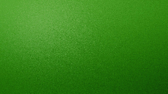 Green broadbill - Wikipedia