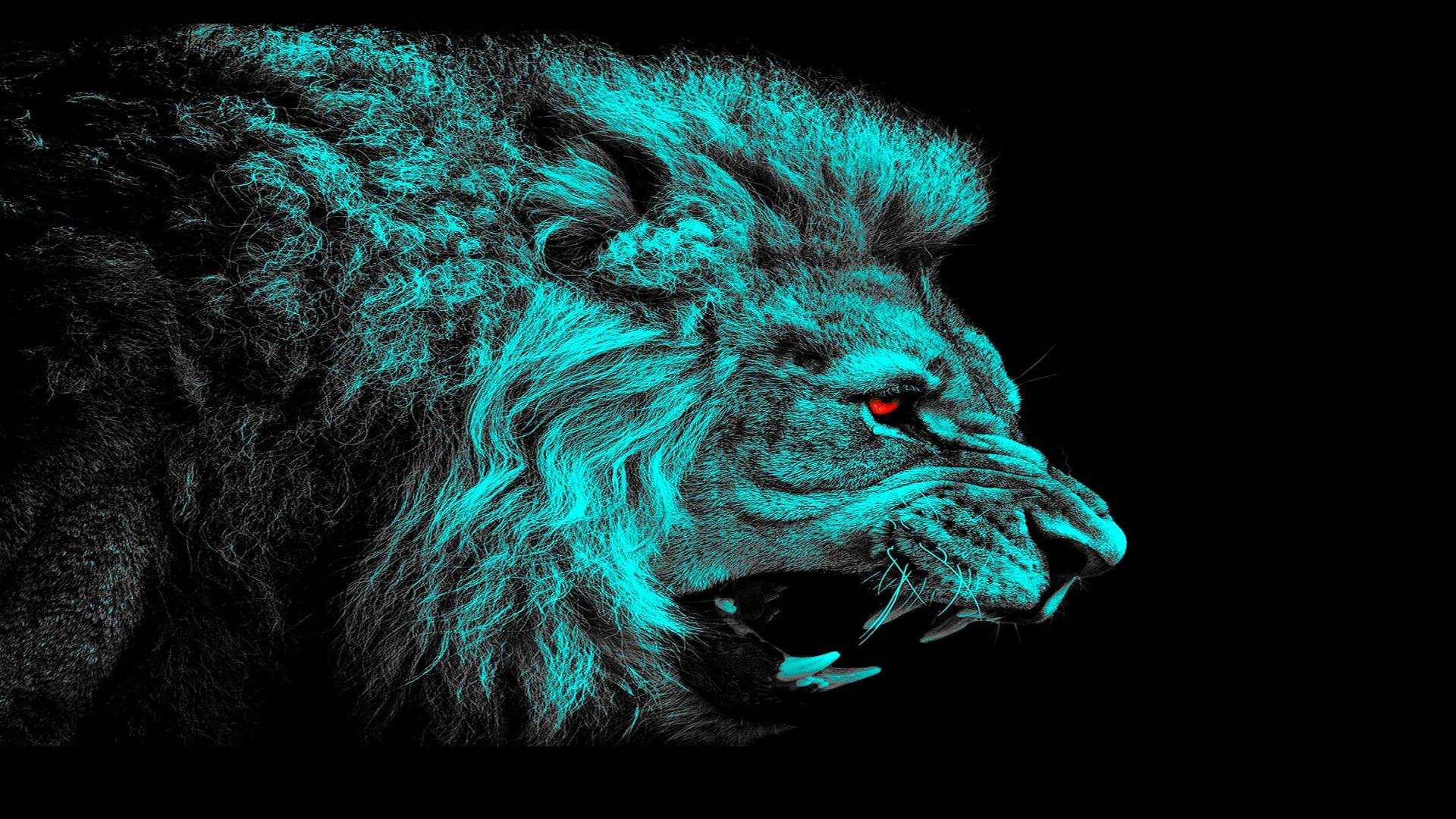 Angry Lion Background Wallpapers 