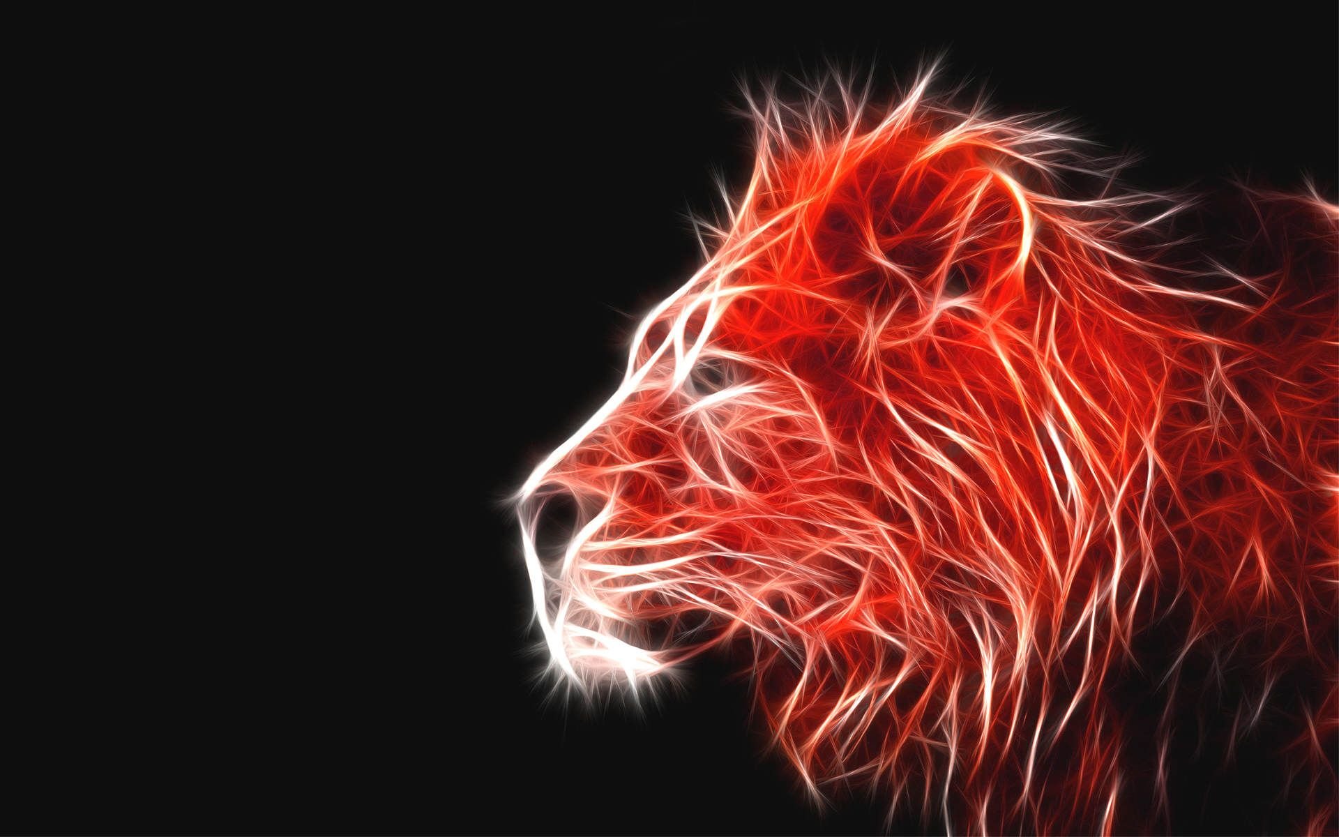 Fire Lion Widescreen Wallpaper 