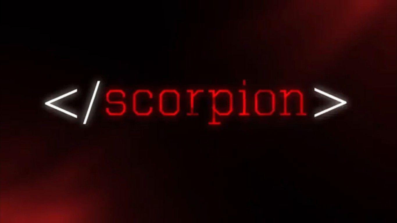 Scorpion Animal Background HD Wallpapers 