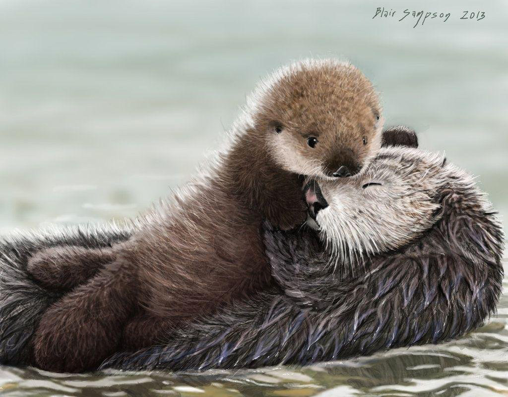 Sea Otter HD Desktop Wallpaper 