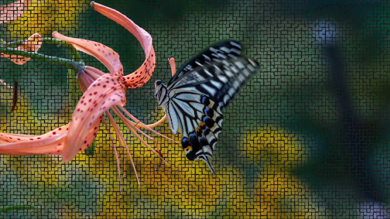 Swallowtail Butterfly Background Wallpaper 