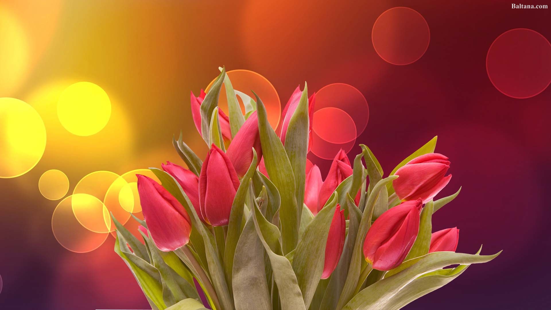 Flower Bouquet Background Wallpapers 