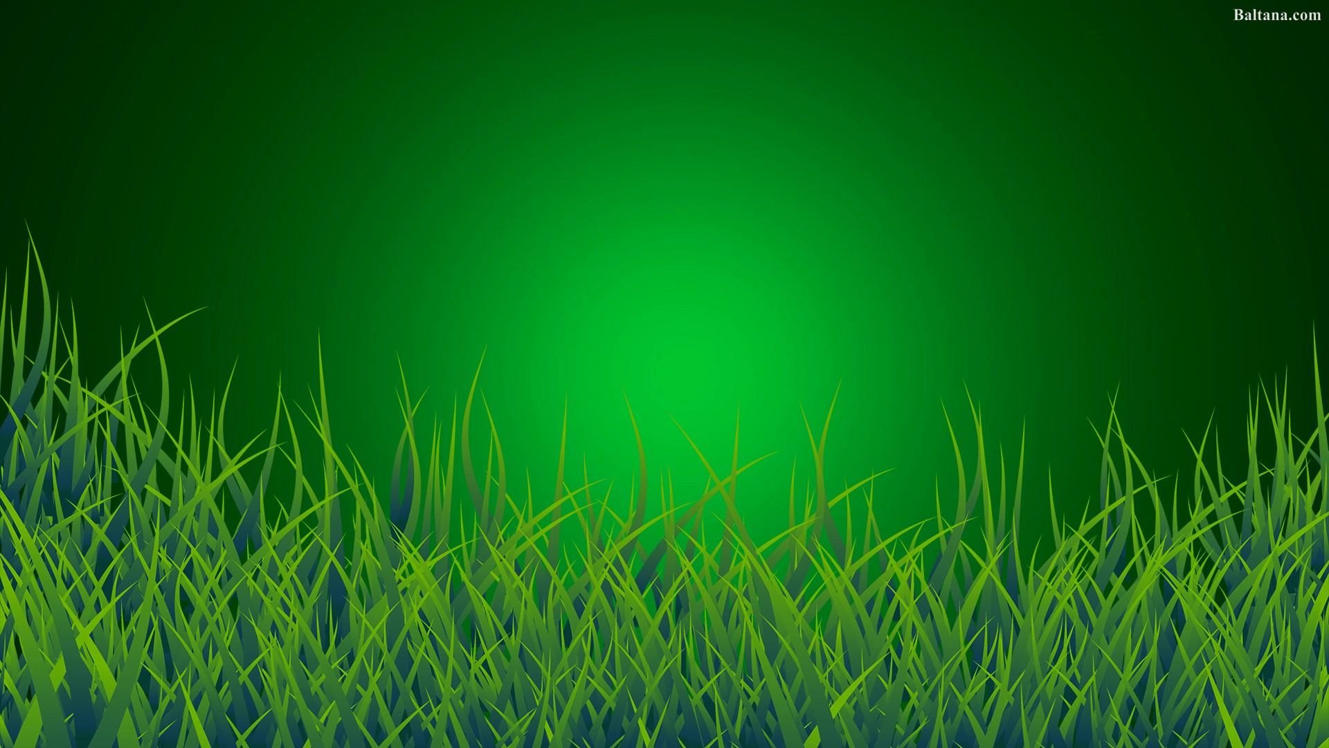 Green Grass Ultra HD Desktop Background Wallpaper for 4K UHD TV  Tablet   Smartphone