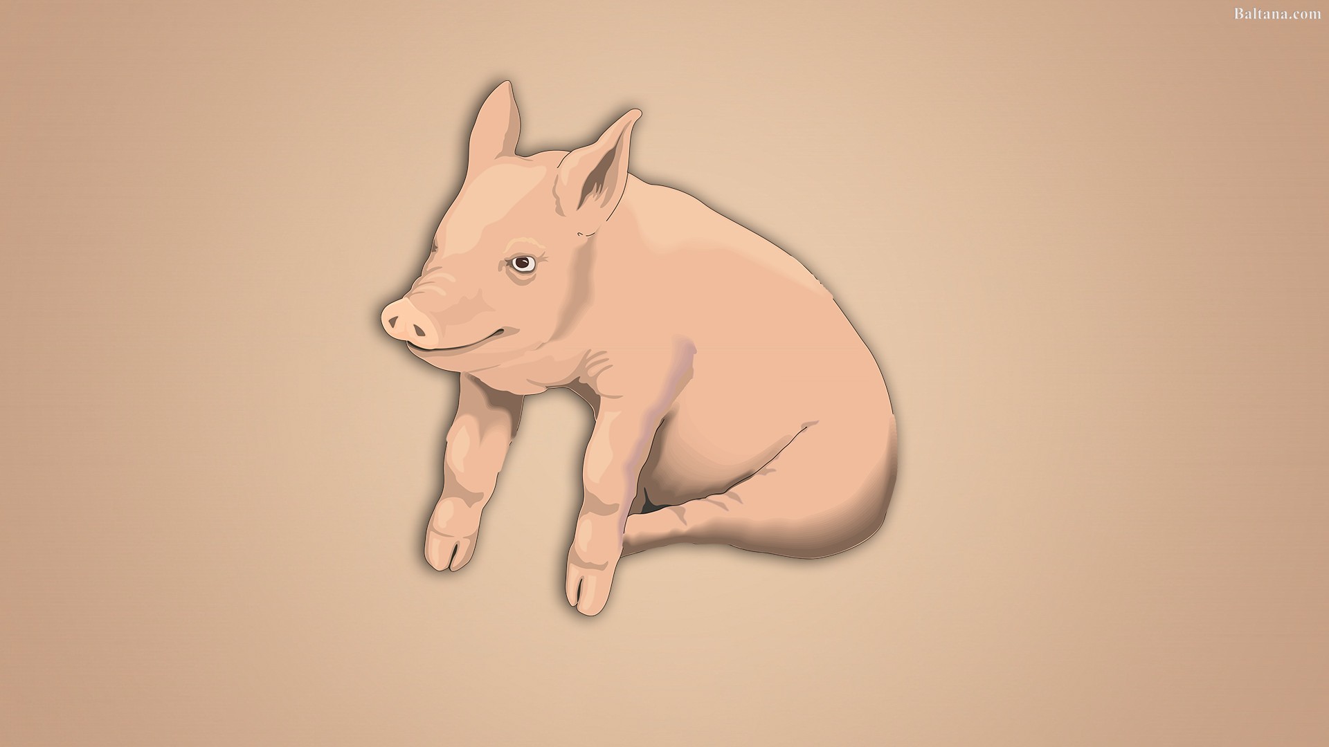 Pig Best Wallpaper 
