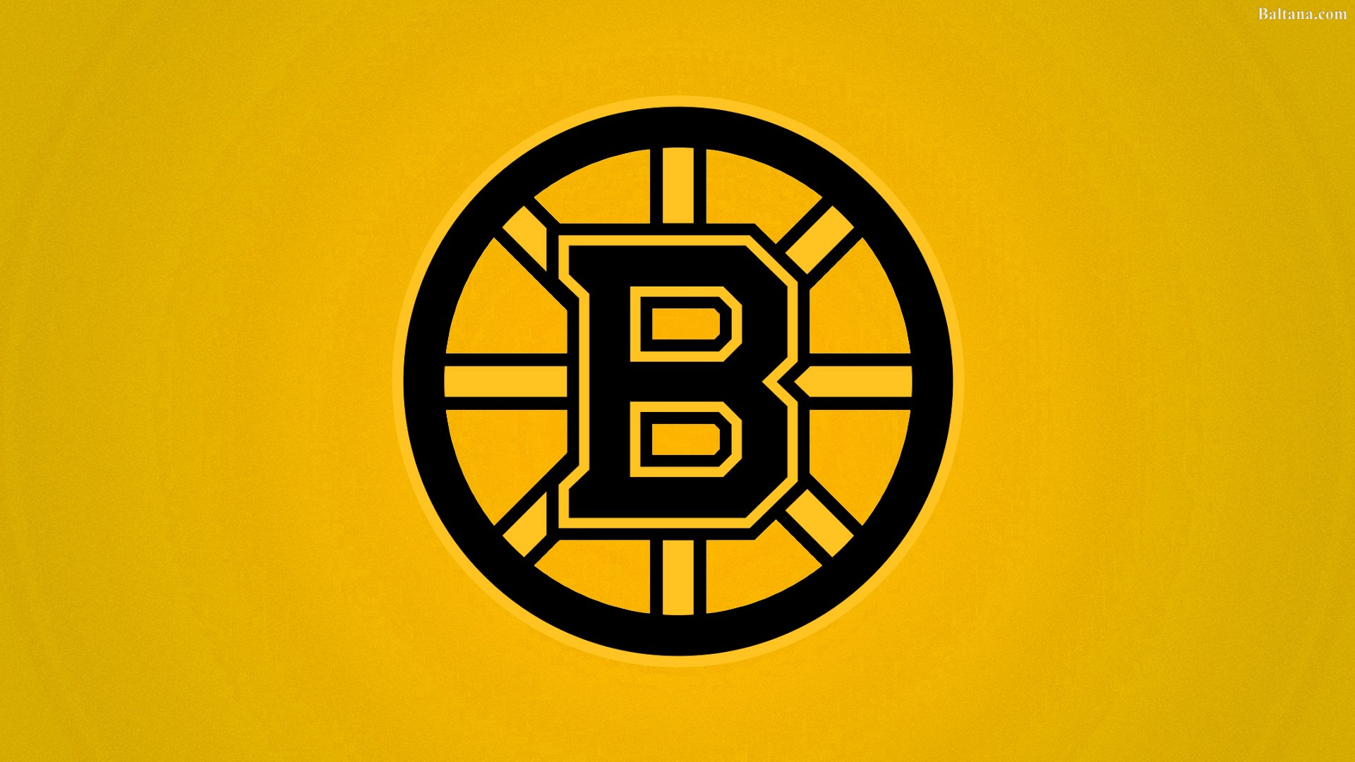 Boston Bruins Background Wallpaper.