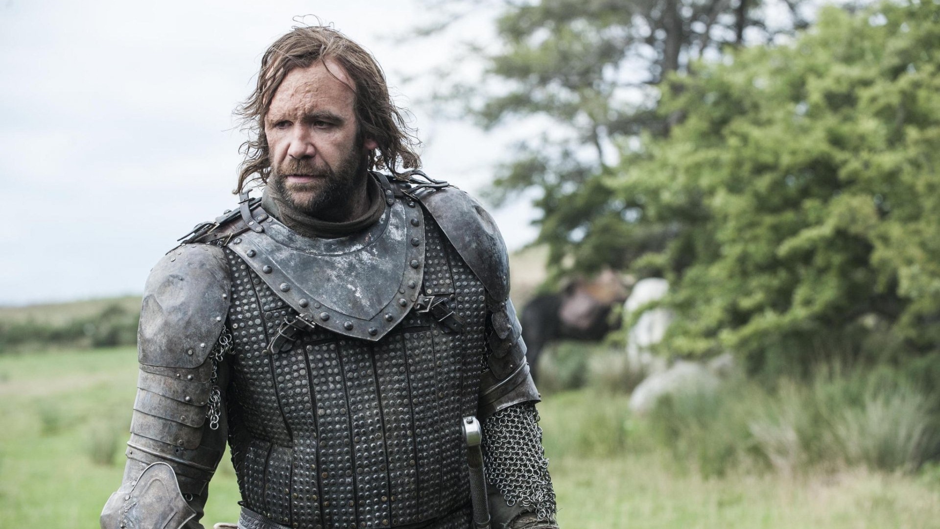 The Hound Background HD Wallpapers 