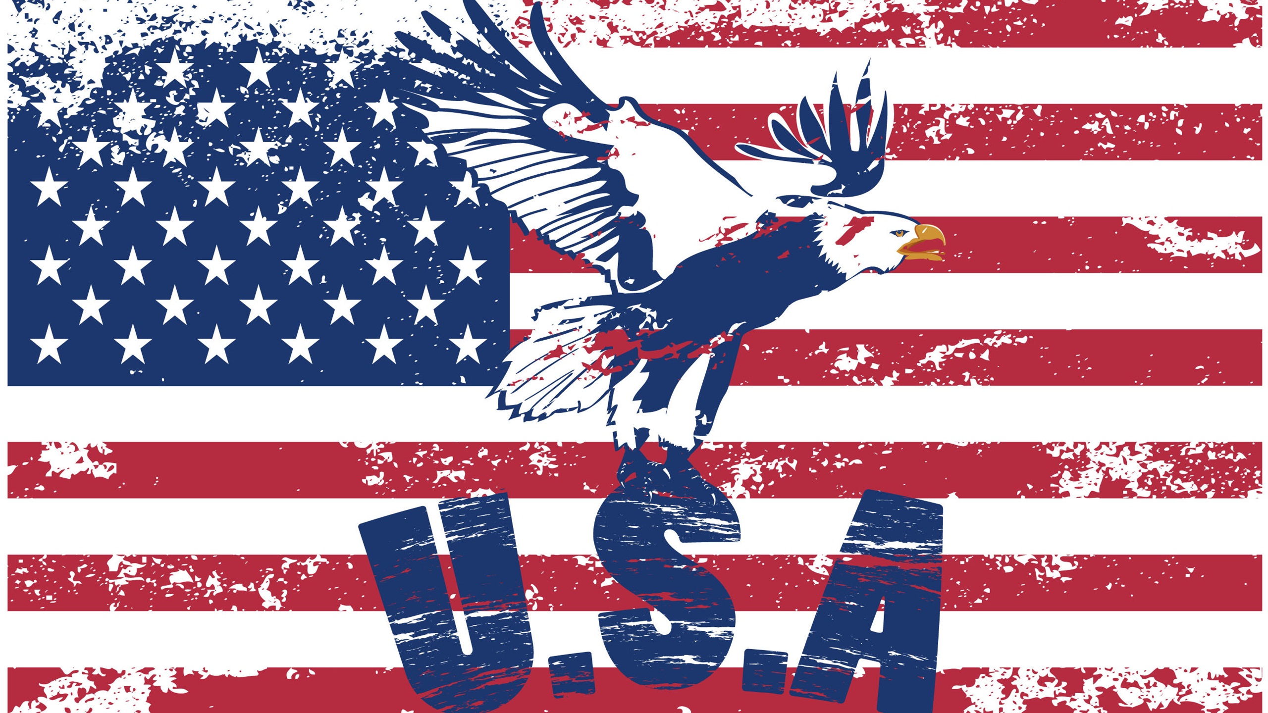 America Flag Best Wallpaper 