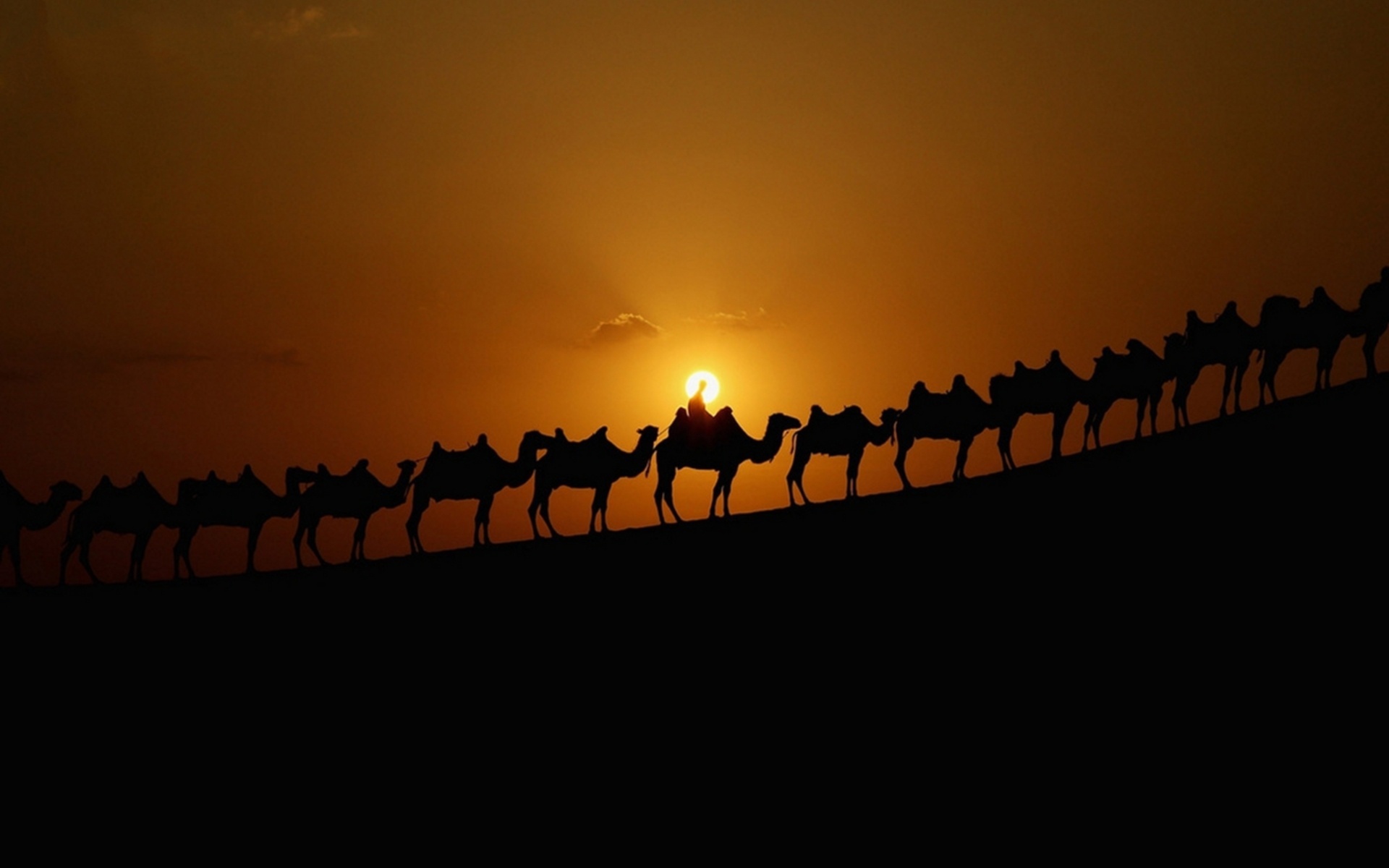 Караван ночью на глазах. Картинка Караван верблюдов в пустыне. Верблюд в пустыне.