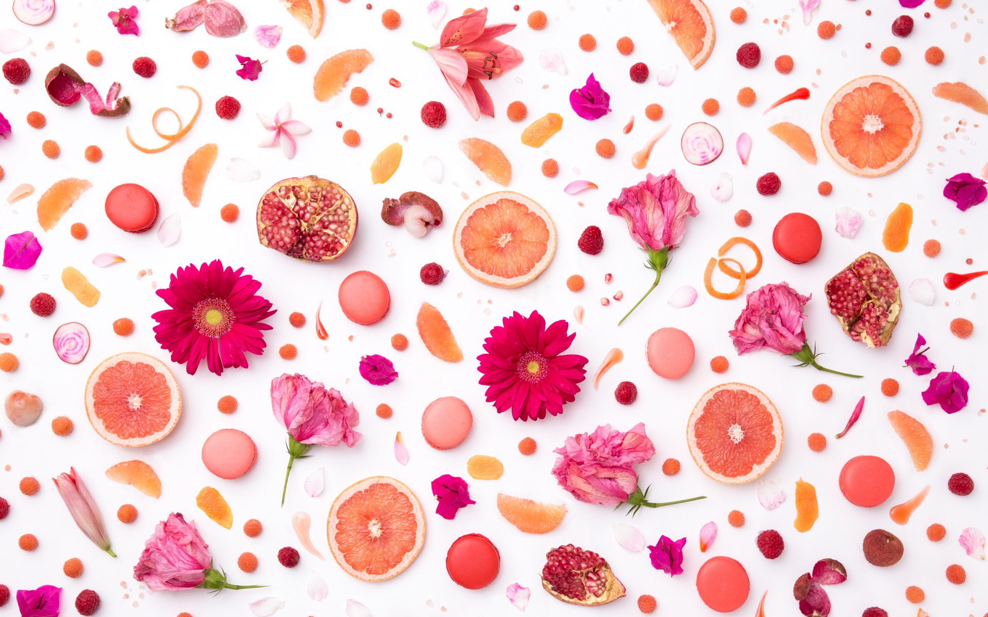 Pink Flower HD Desktop Wallpaper 