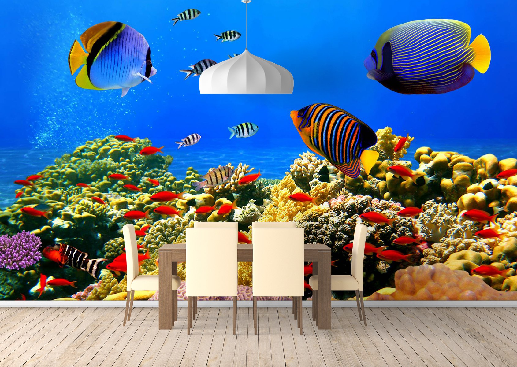 Underwater World Desktop Wallpaper 
