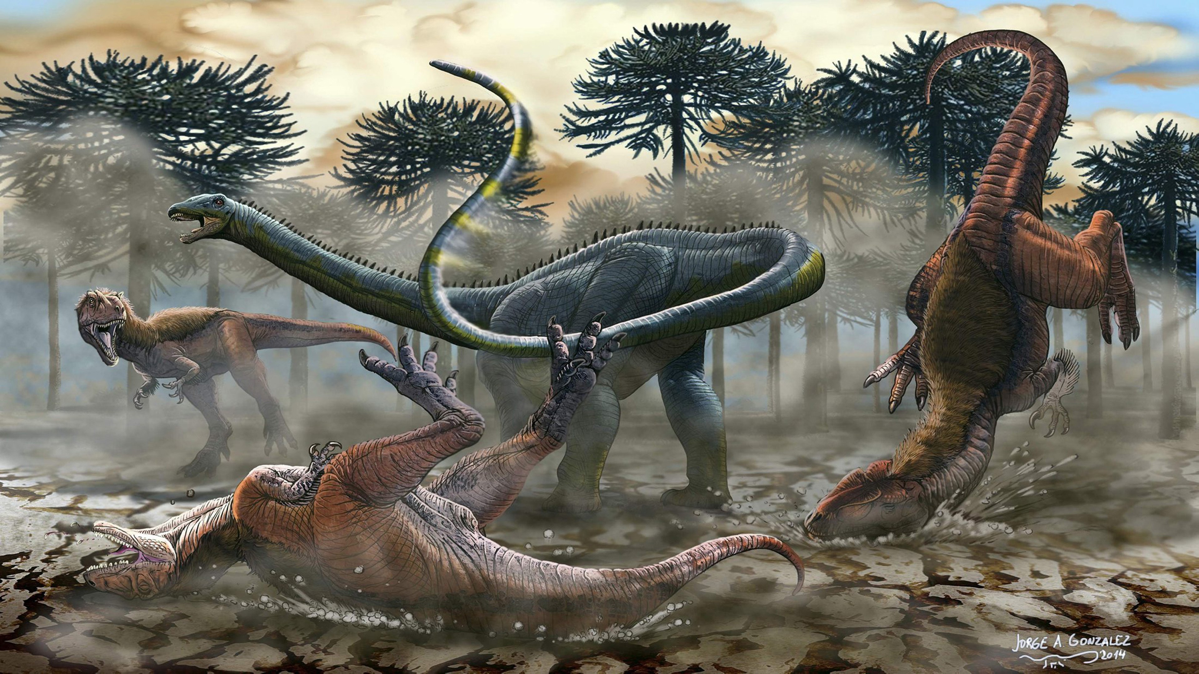 Dinosaur Background Wallpapers 