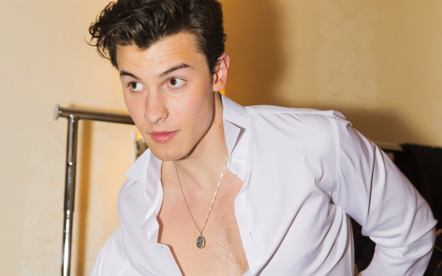 Shawn Mendes High Definition Wallpaper 