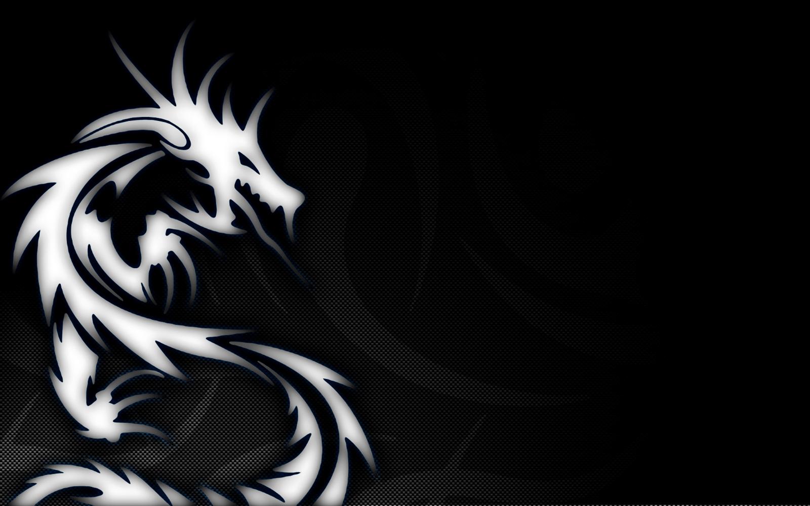 Black White Dragon HD Pics 05975 - Baltana