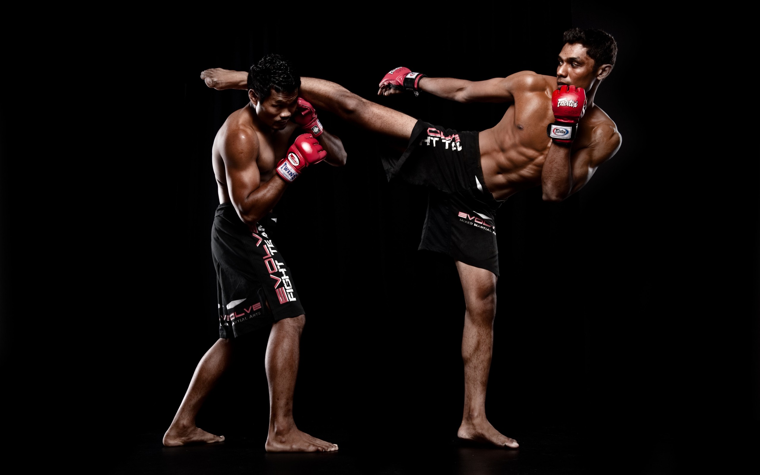 Mixed Martial Arts HD Pictures 