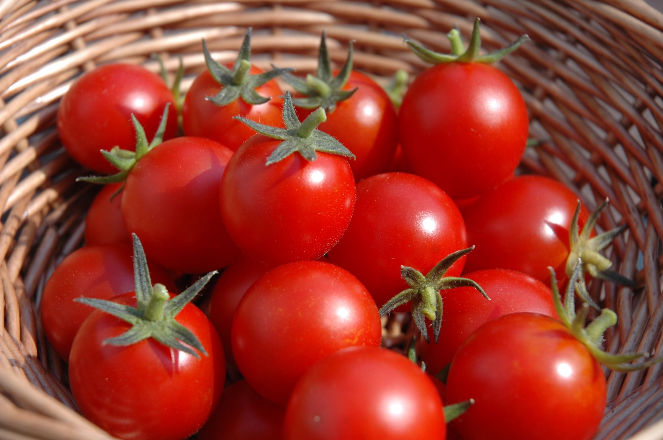 Tomato HD Wallpapers 