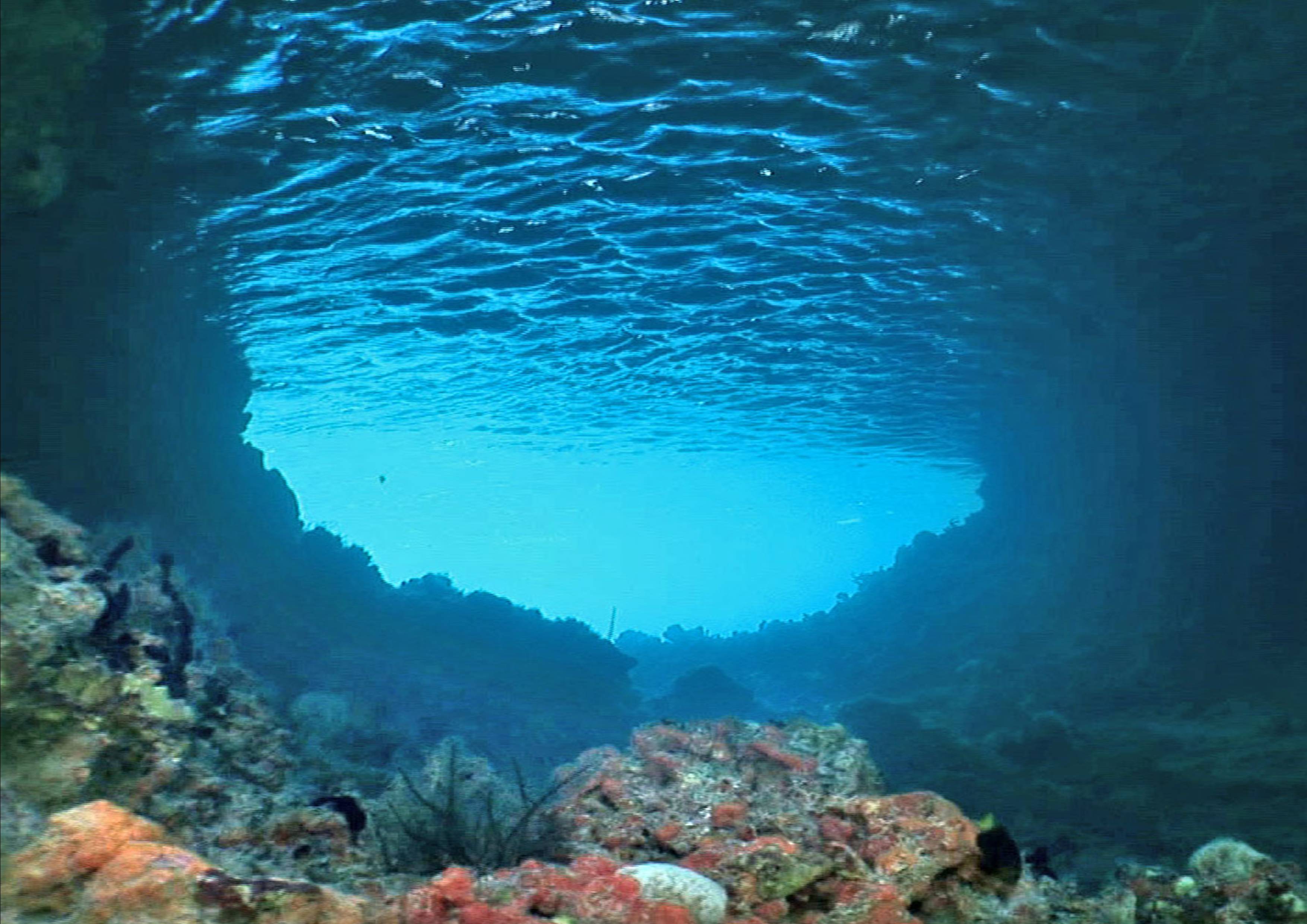 Underwater HD Images 