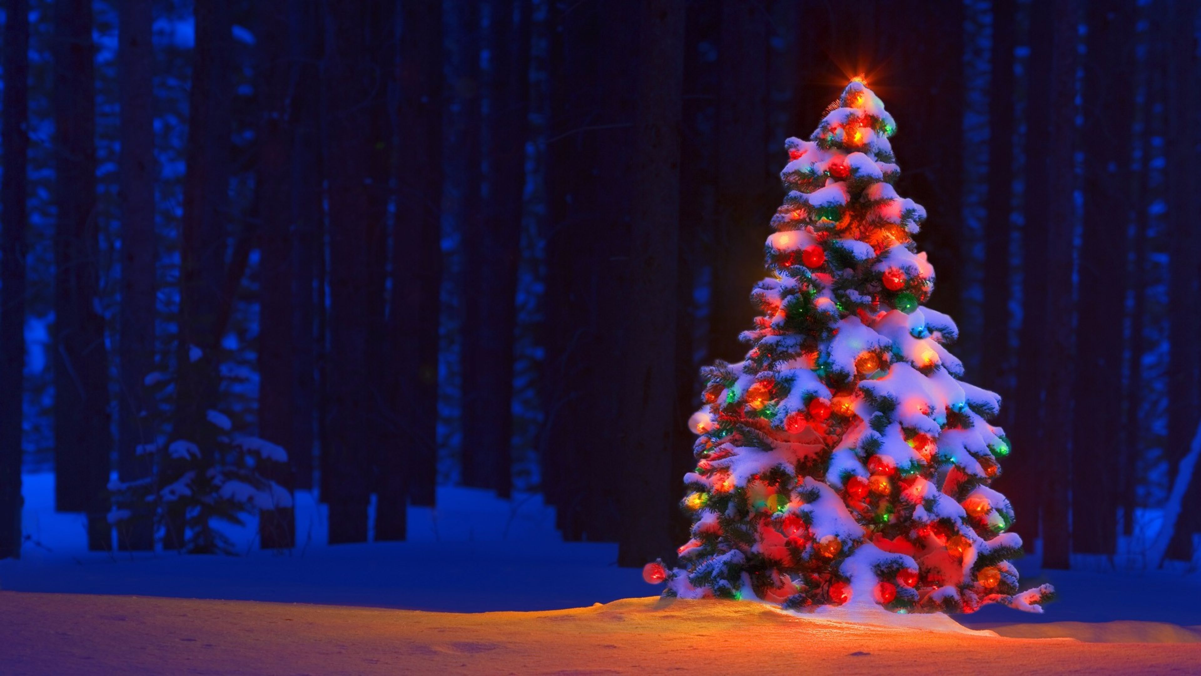 5 Christmas Backgrounds For Computer, aesthetic pc christmas HD wallpaper |  Pxfuel