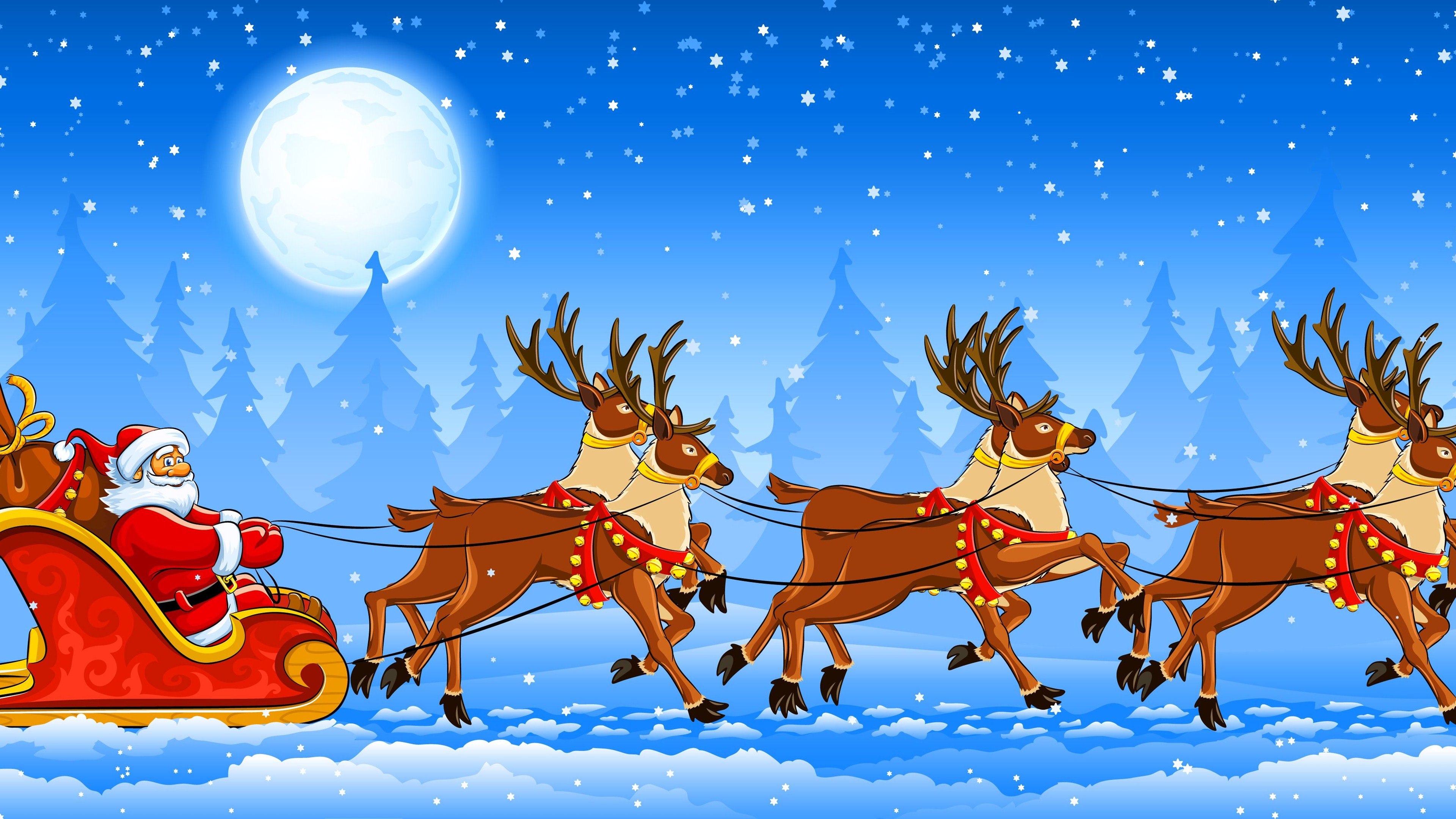 4K Reindeer Desktop HD Wallpaper 