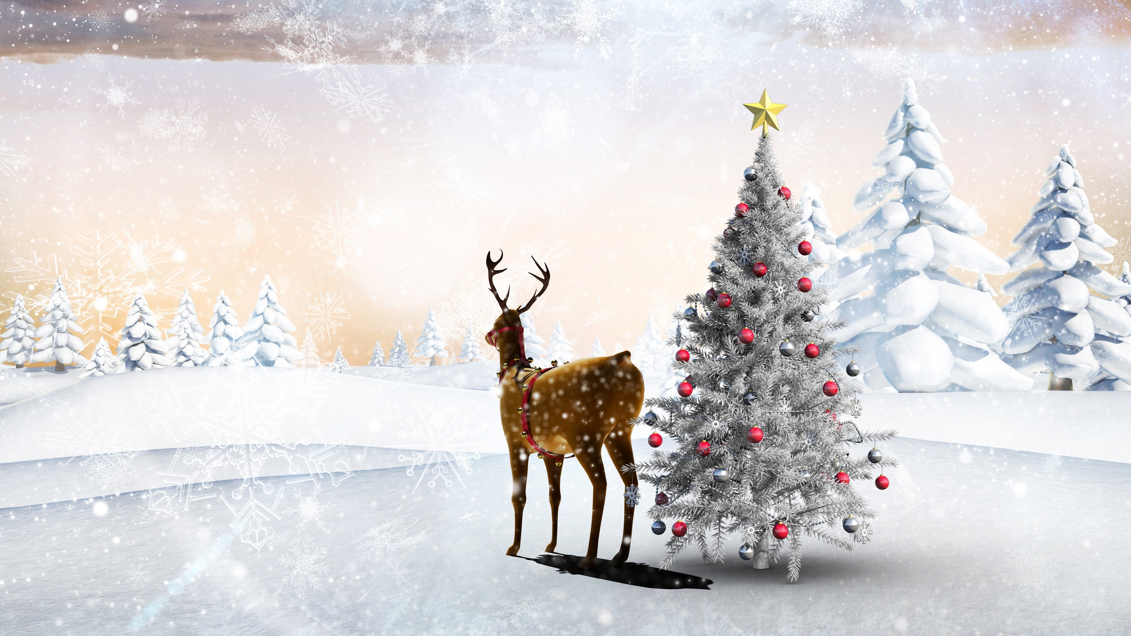 4K Reindeer HD Background Wallpaper 
