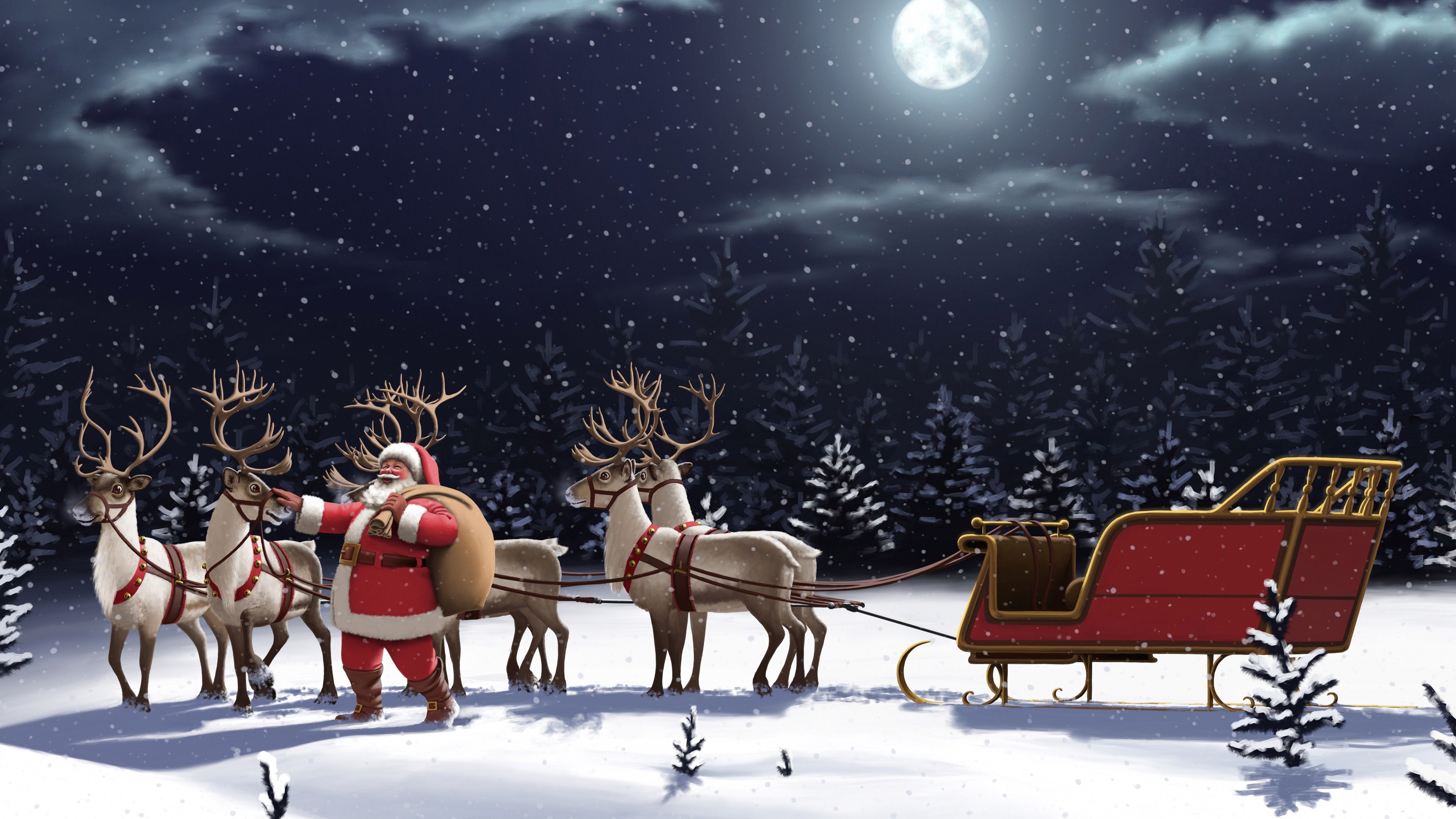 4K Reindeer HD Desktop Wallpaper 