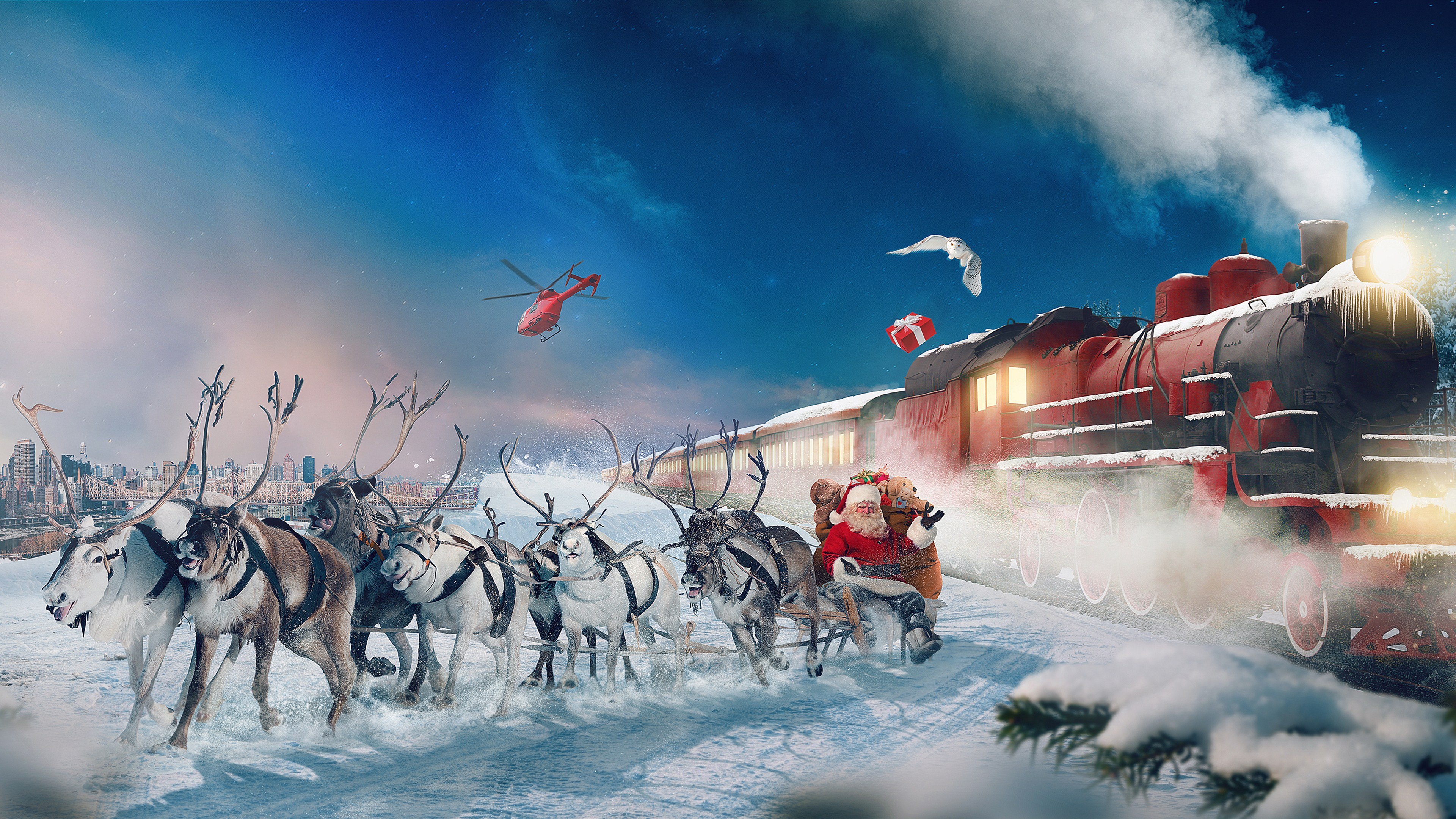 4K Reindeer Wallpaper HD 