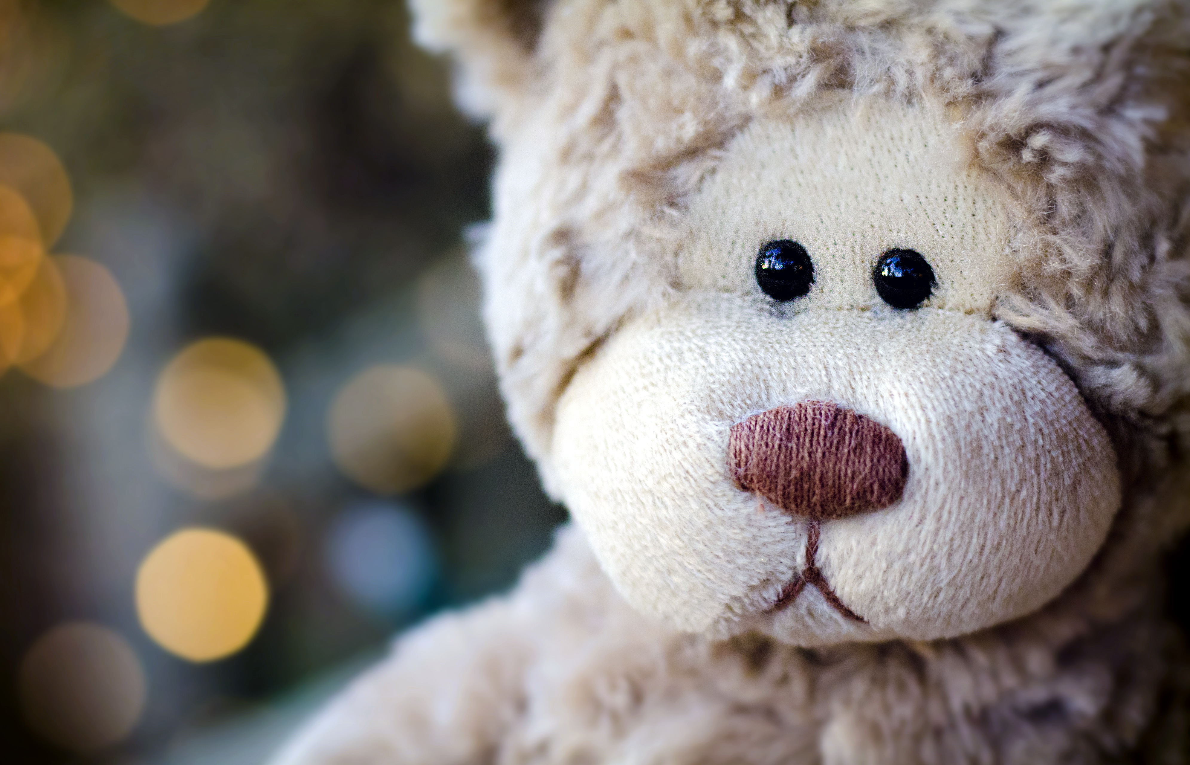 Teddy Bear Stuffed Animal Desktop Wallpaper 