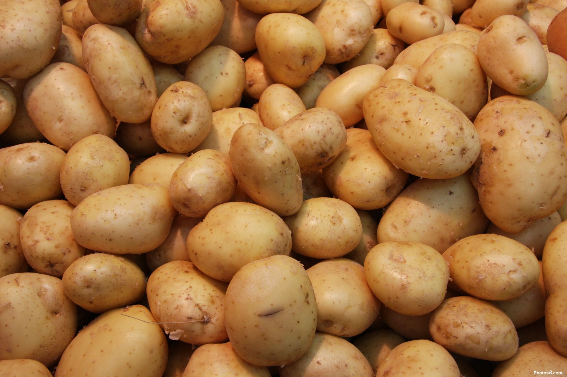 Potatoes Desktop Widescreen Wallpaper 