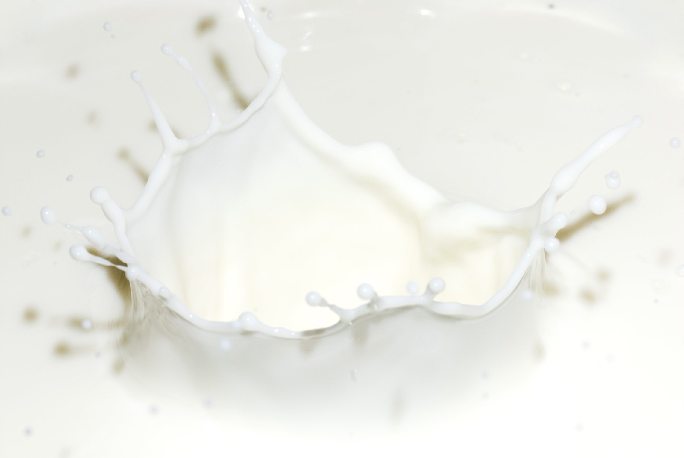 Milk Wallpaper 2285x1530 
