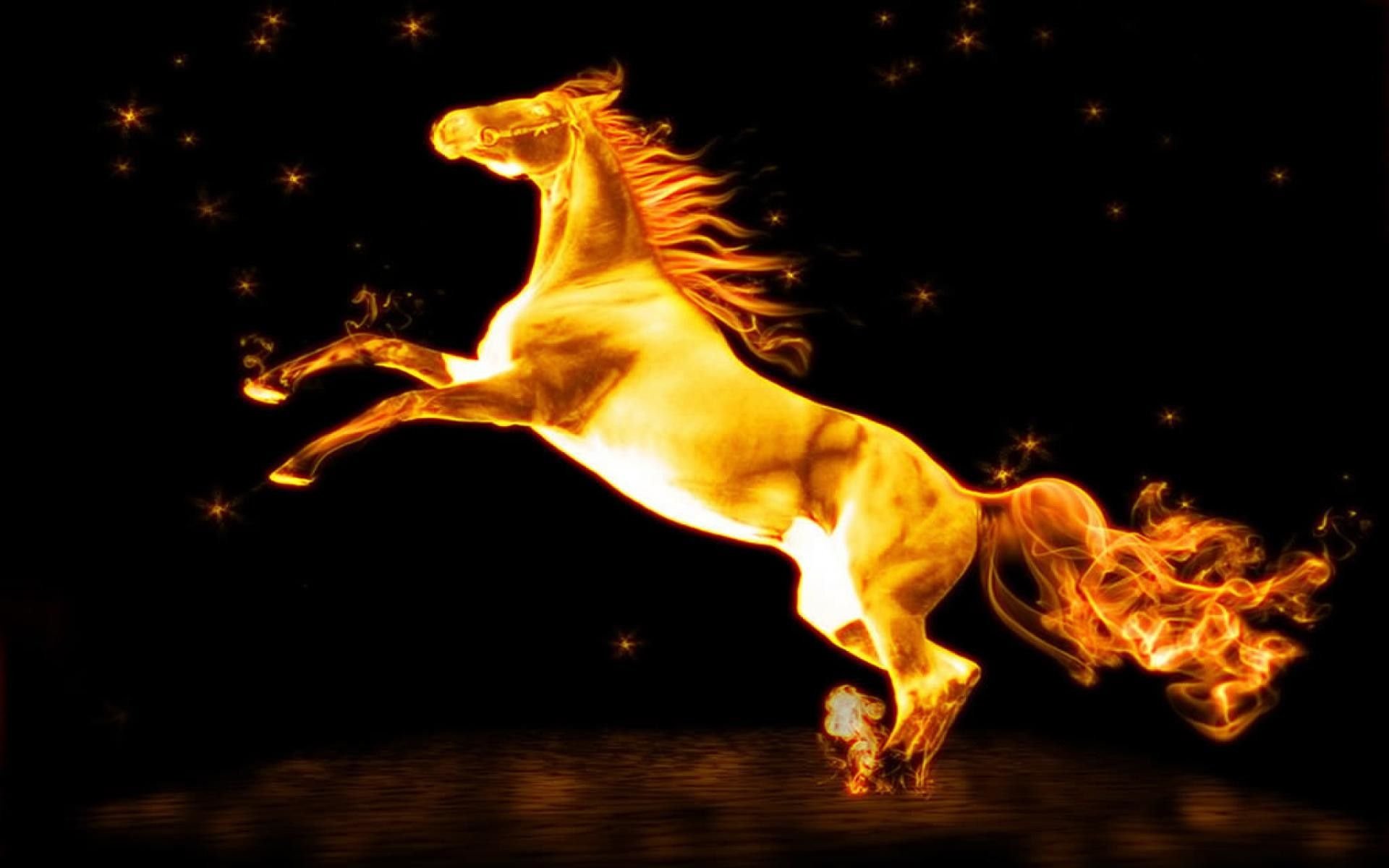 Fire Horse HD Desktop Wallpaper 