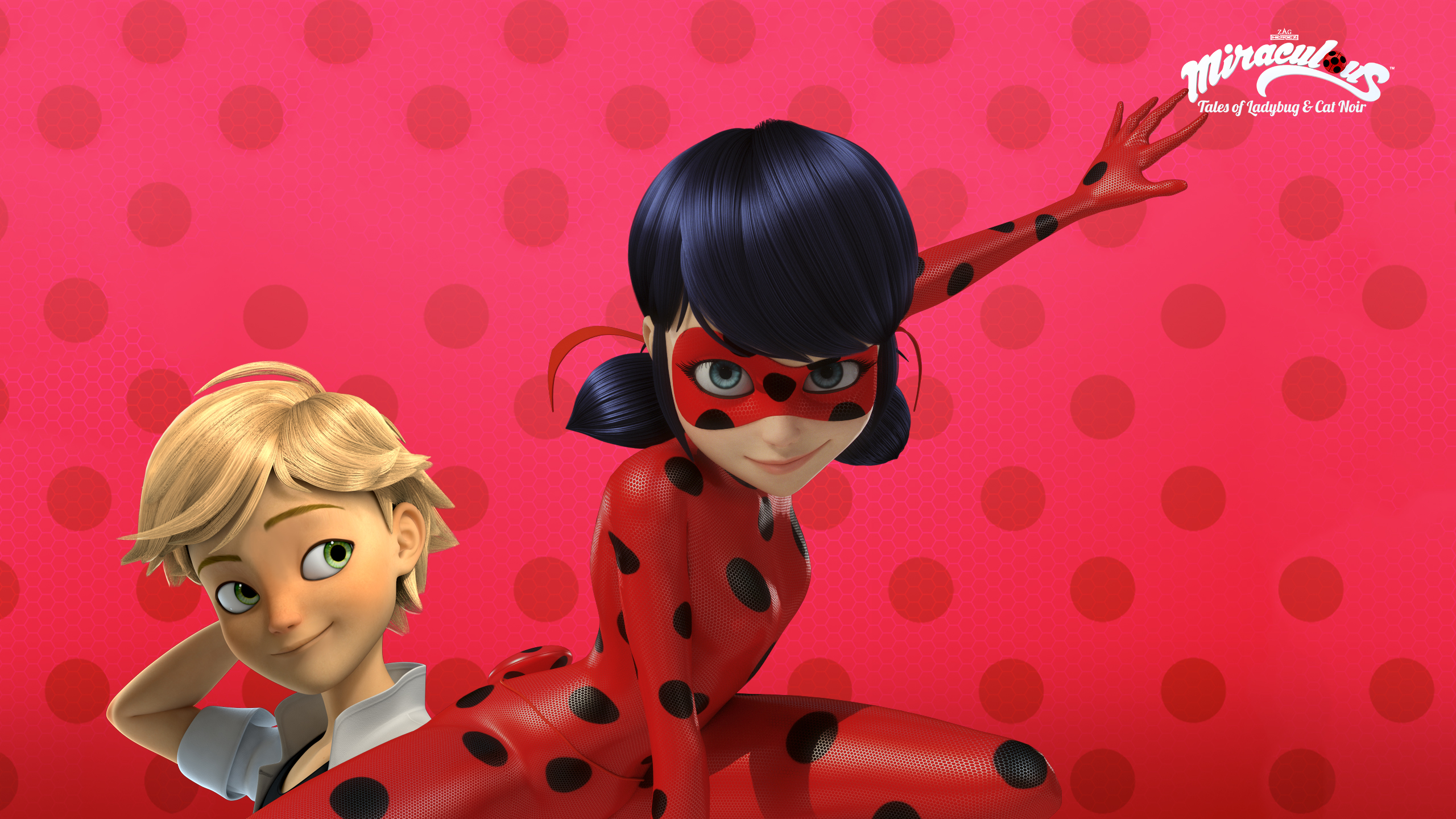 Miraculous Tales of Ladybug And Cat Noir Background HD Wallp
