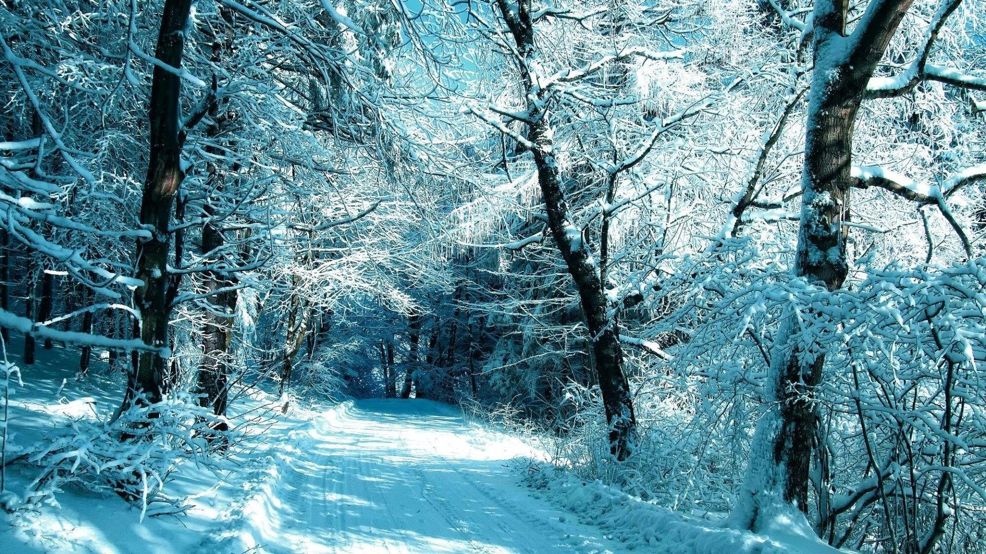 Winter Season HD Wallpaper 