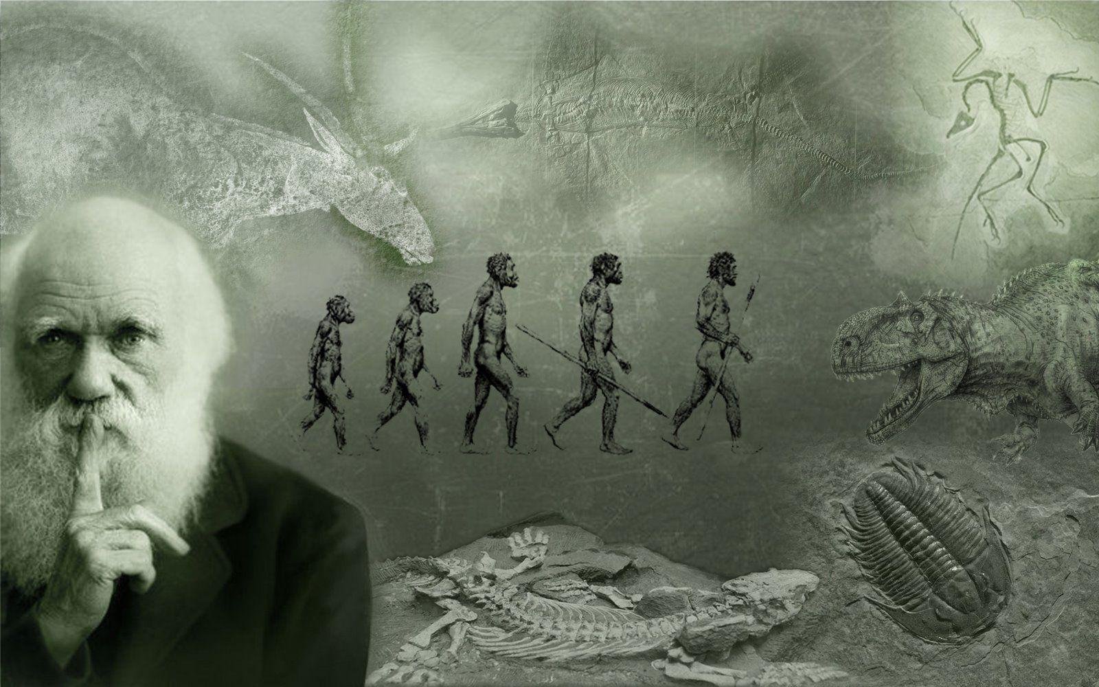 Human Evolution Wallpaper HD 