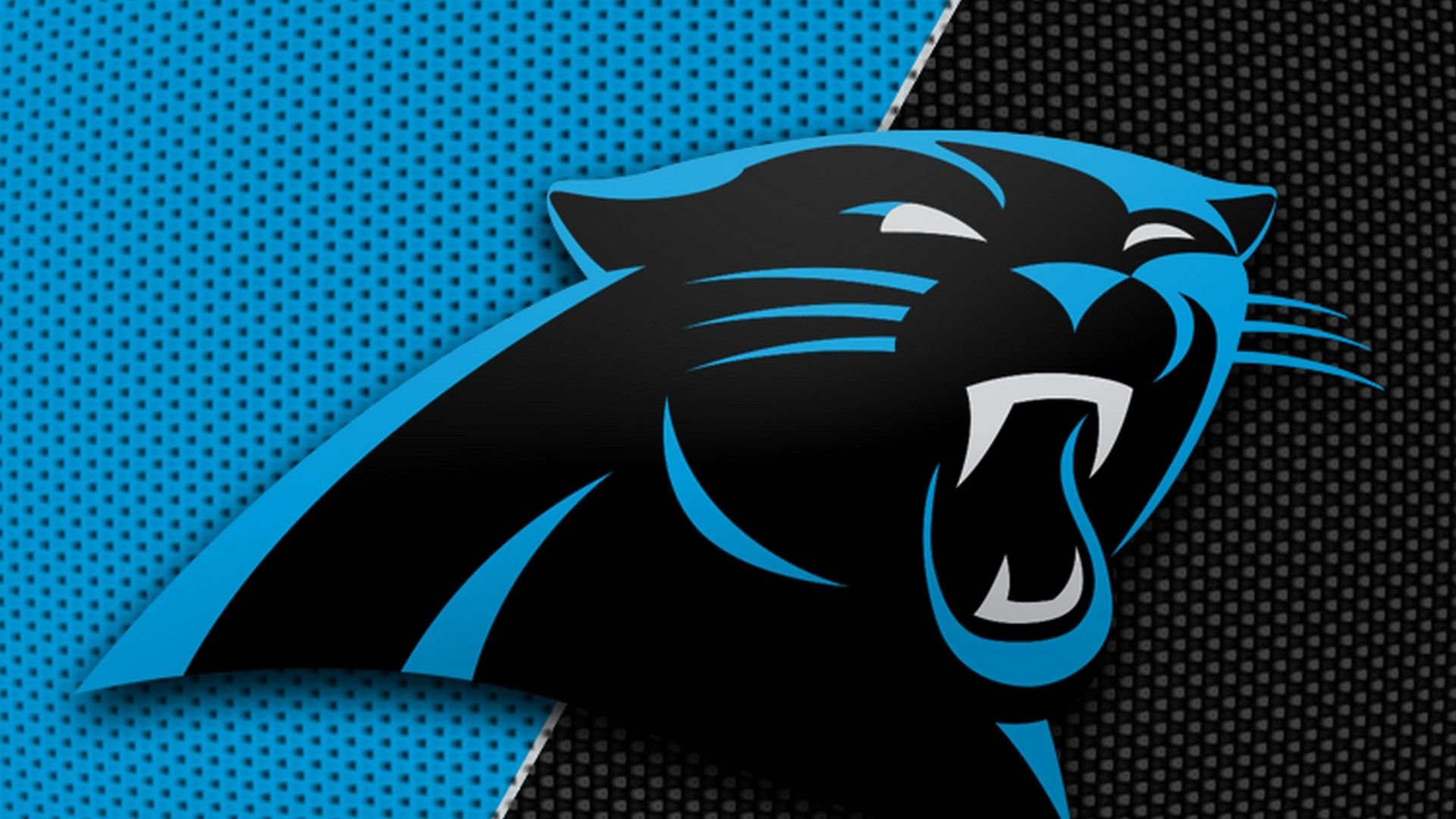 Carolina Panthers NFL Wallpaper HD 