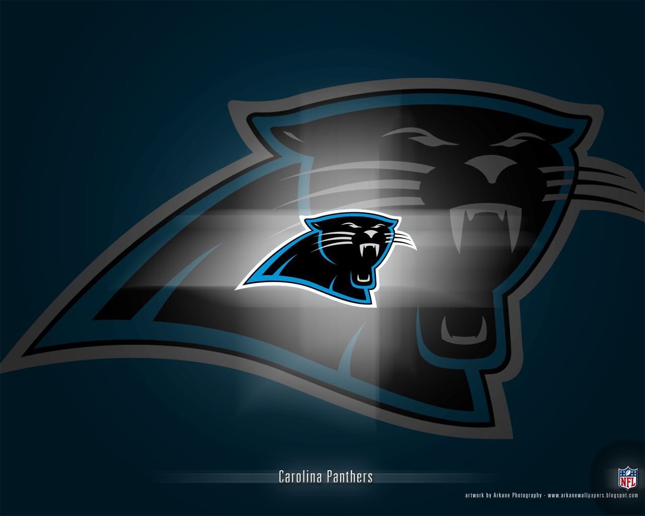 Carolina Panthers NFL Widescreen Wallpapers 