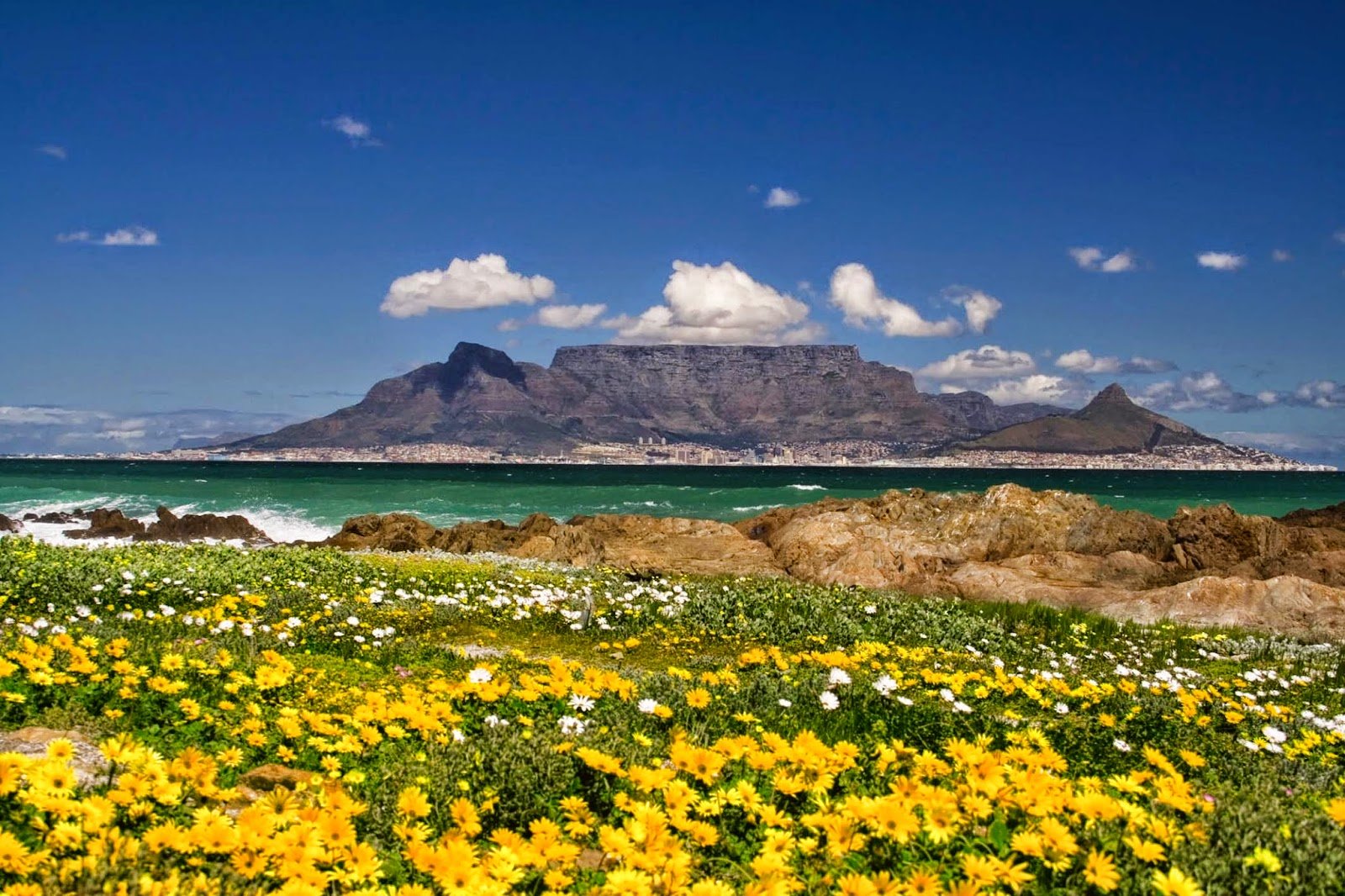 Table Mountain Nature Widescreen Wallpapers 