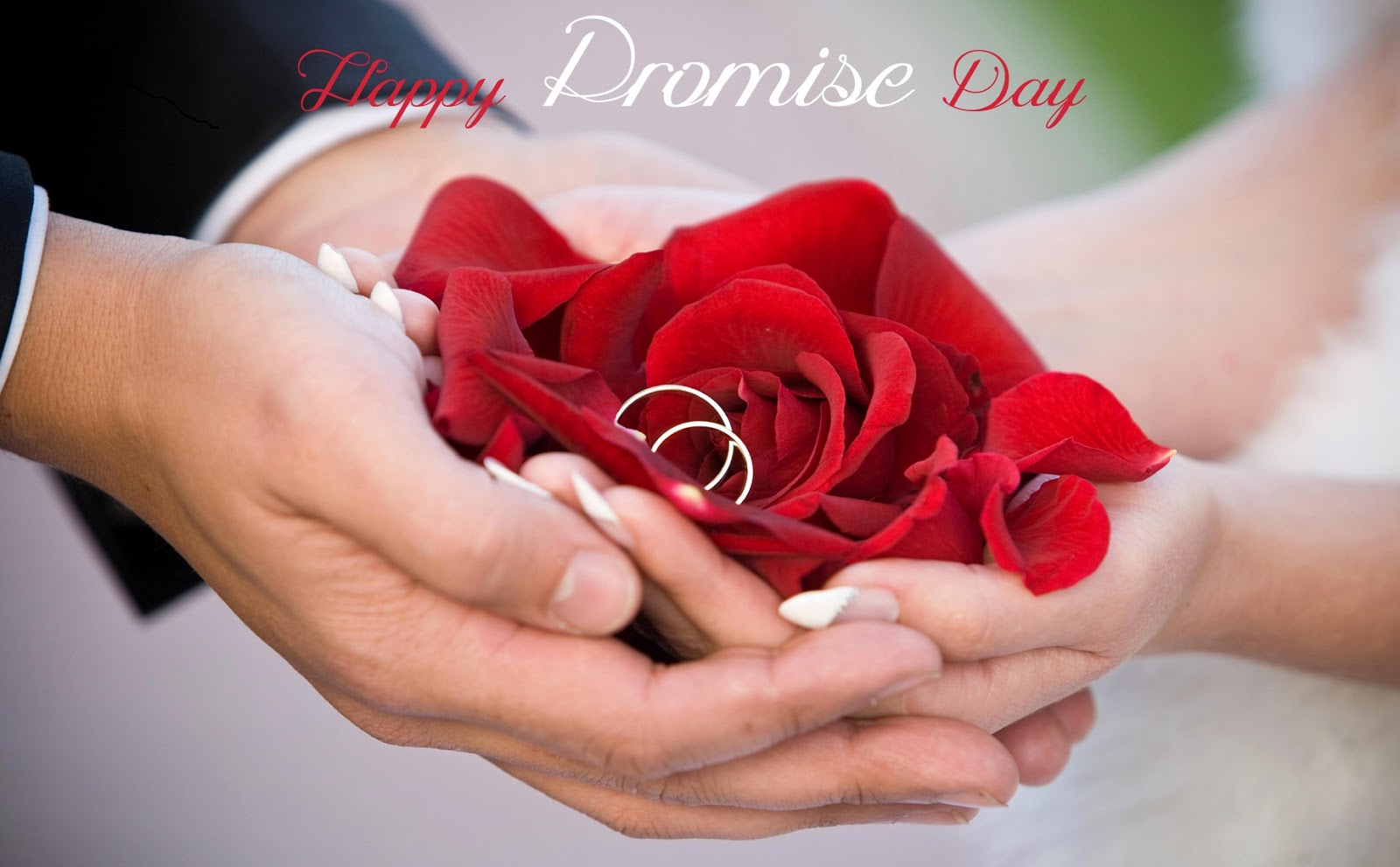 Promise Day Background Wallpaper 