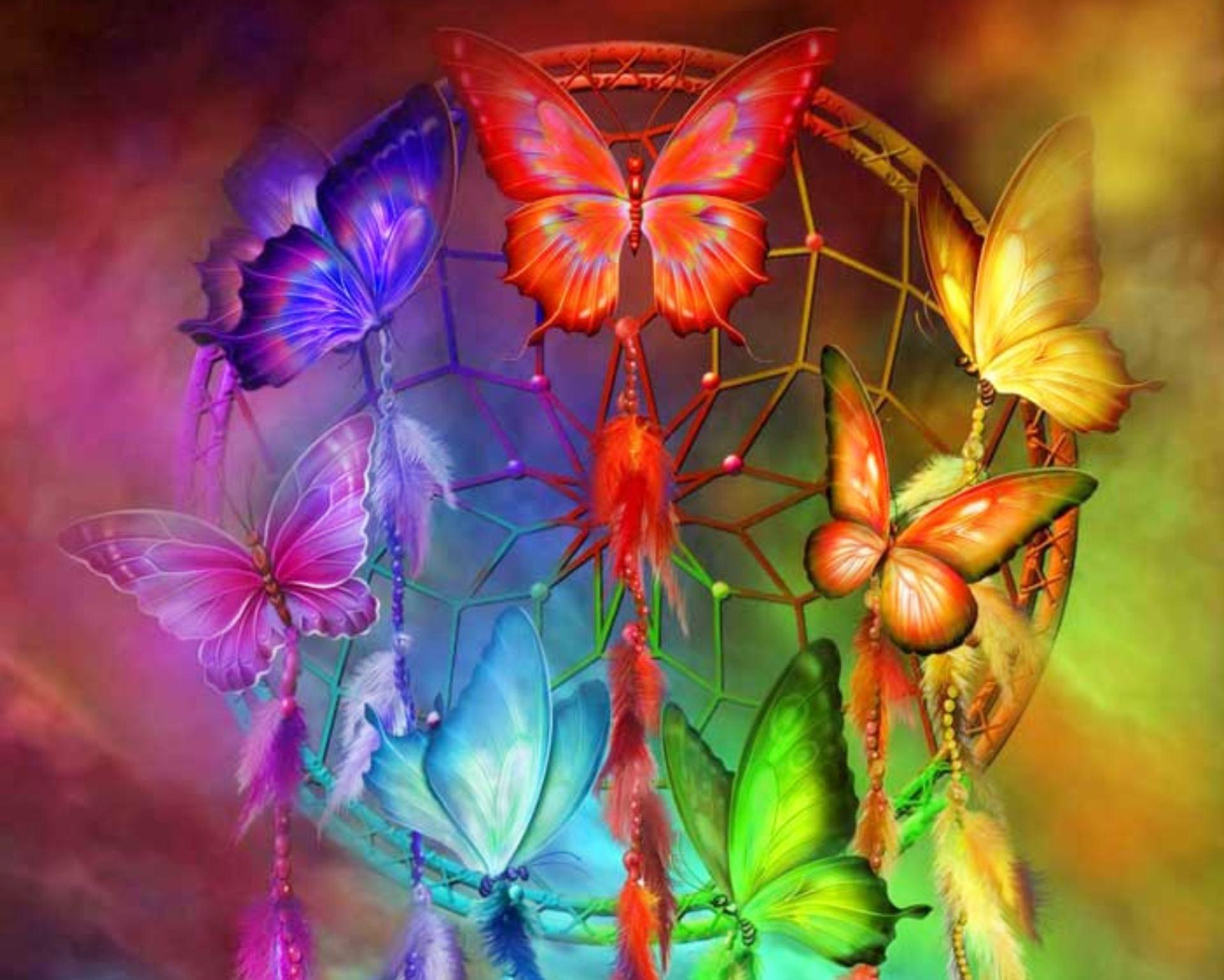 Rainbow Butterfly HD Wallpapers 