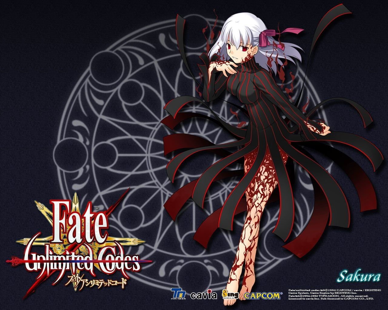 Fate Unlimited Codes High Definition Wallpaper 