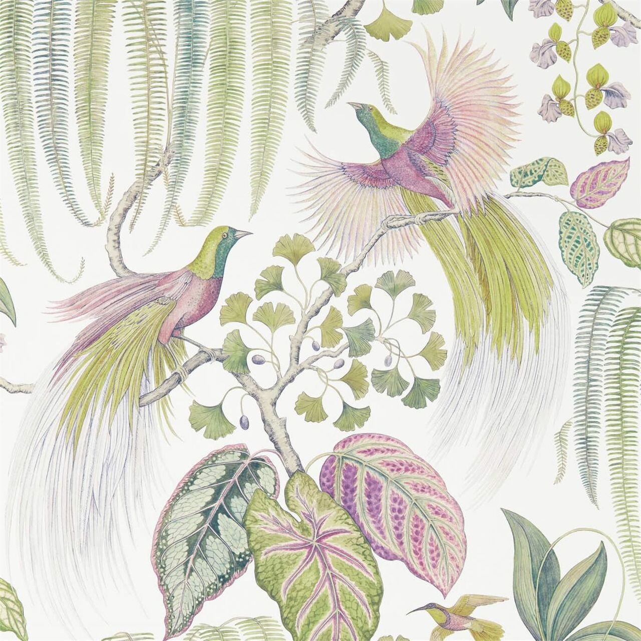 Bird of Paradise Botanical Painting Desktop Wallpaper 