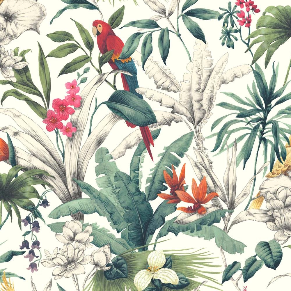 Bird of Paradise Botanical Painting Wallpaper HD 