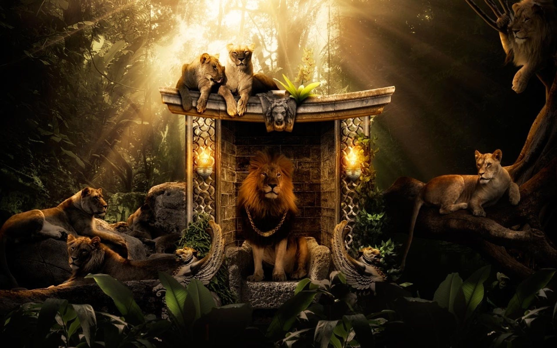Fantasy Lion Dark HD Desktop Wallpaper 