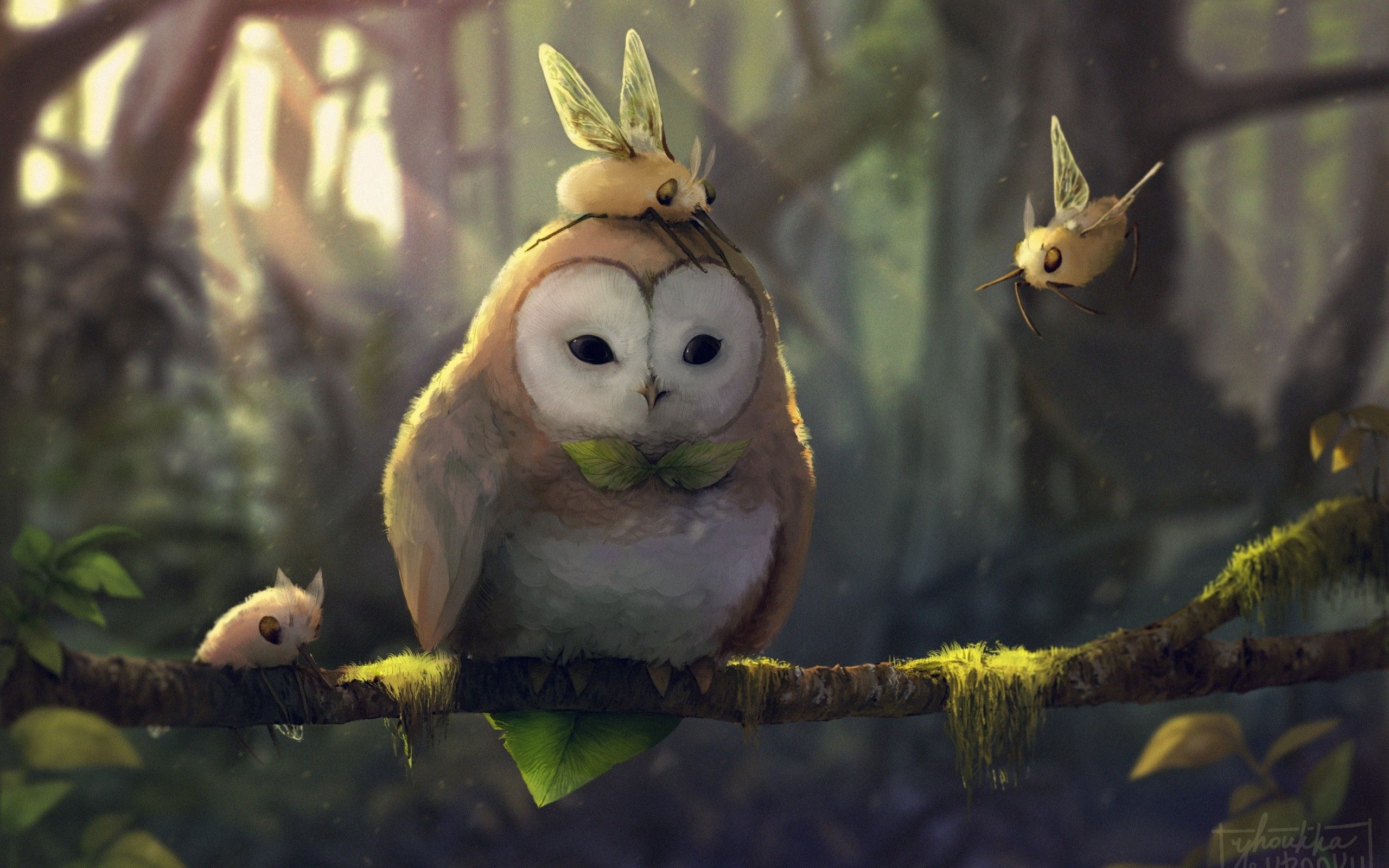 Fantasy Owl Best HD Wallpaper 