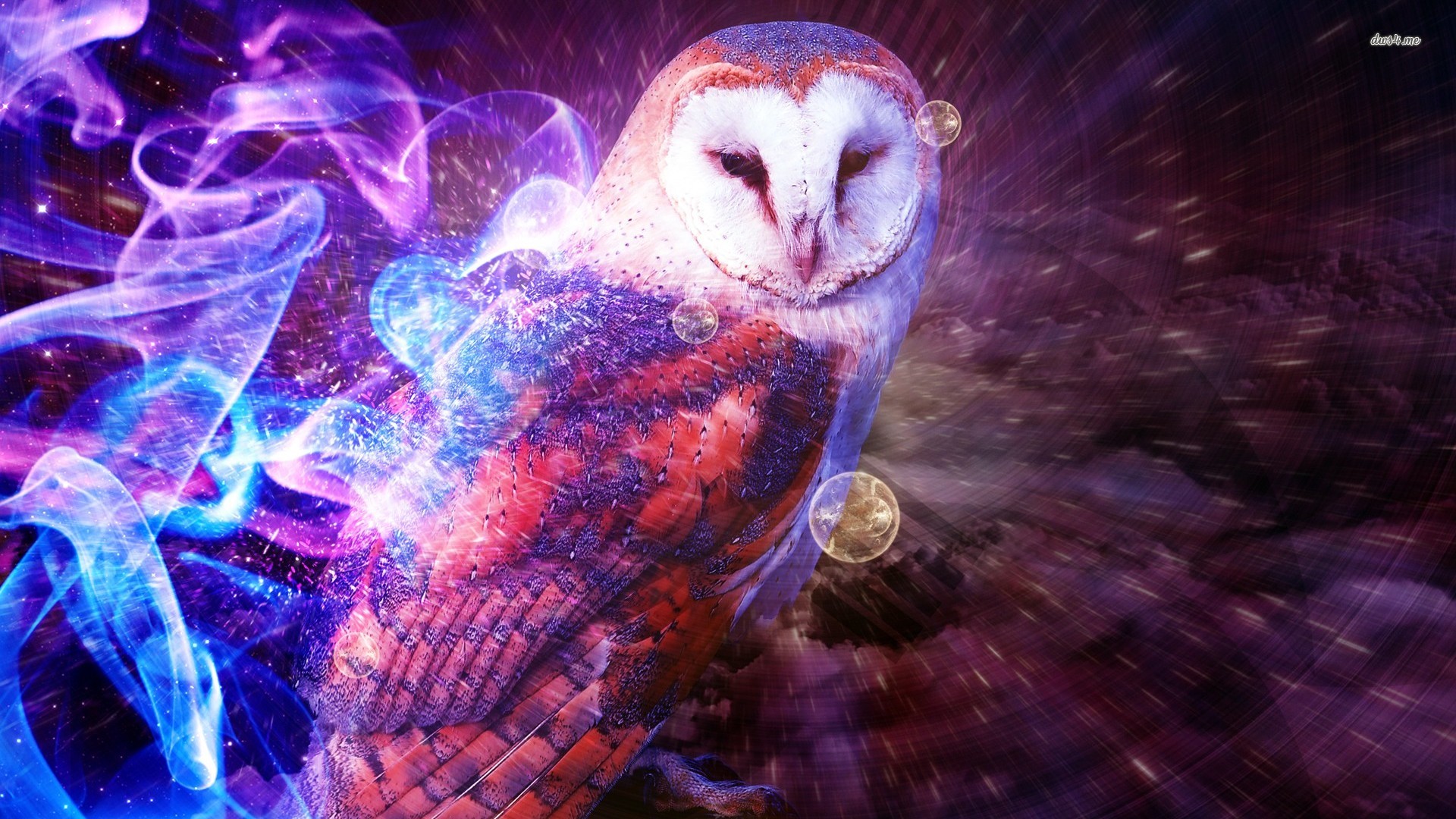 Fantasy Owl Cool High Definition Wallpaper 