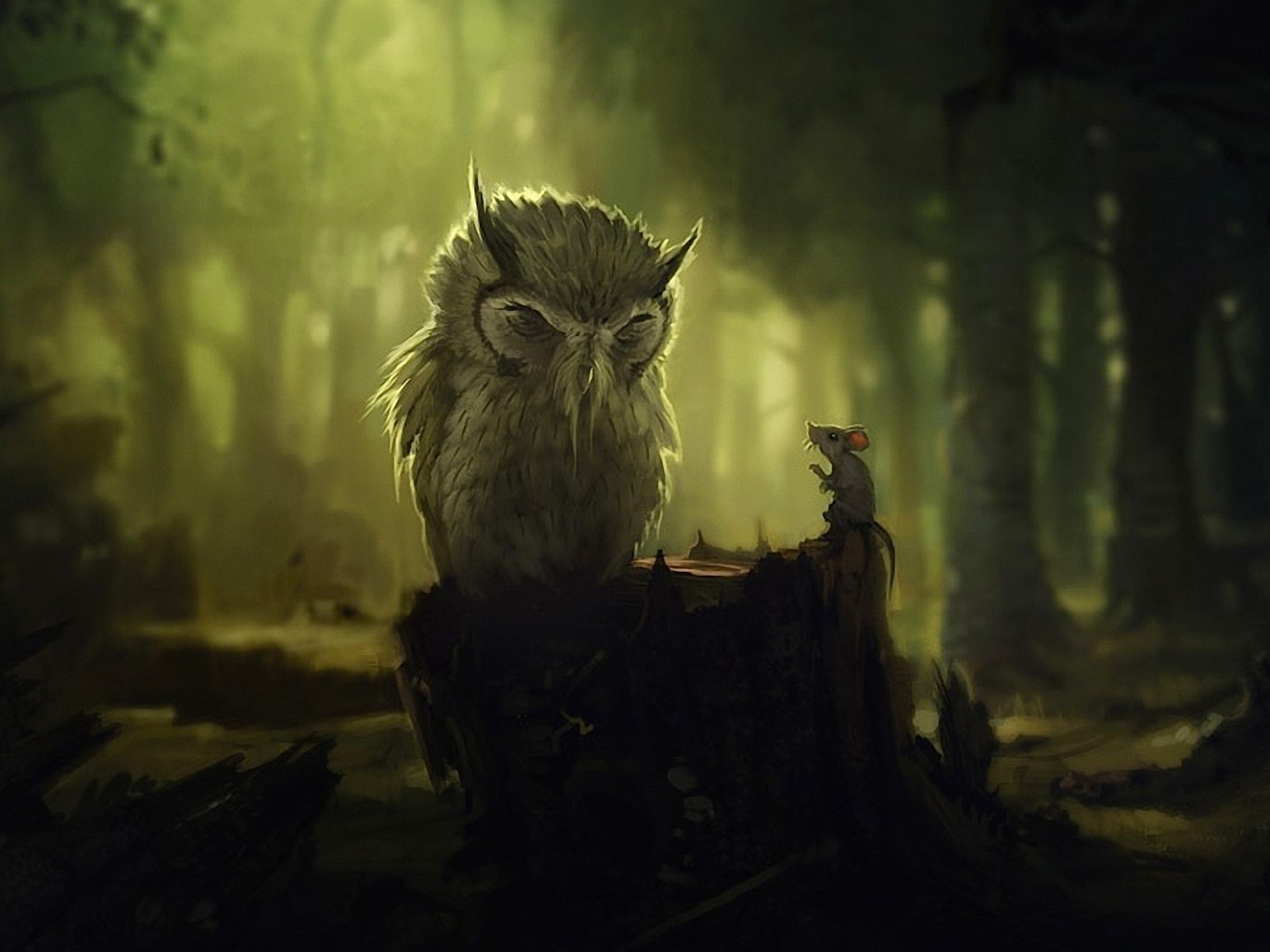 Fantasy Owl Dark Background Wallpaper 