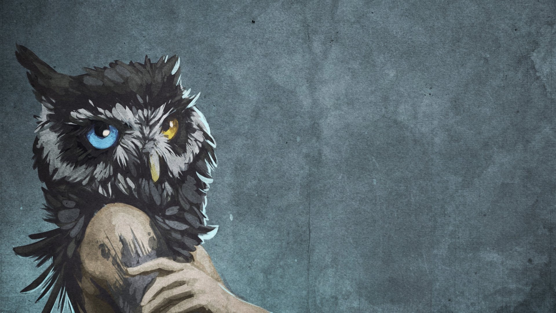 Fantasy Owl Widescreen Wallpapers 