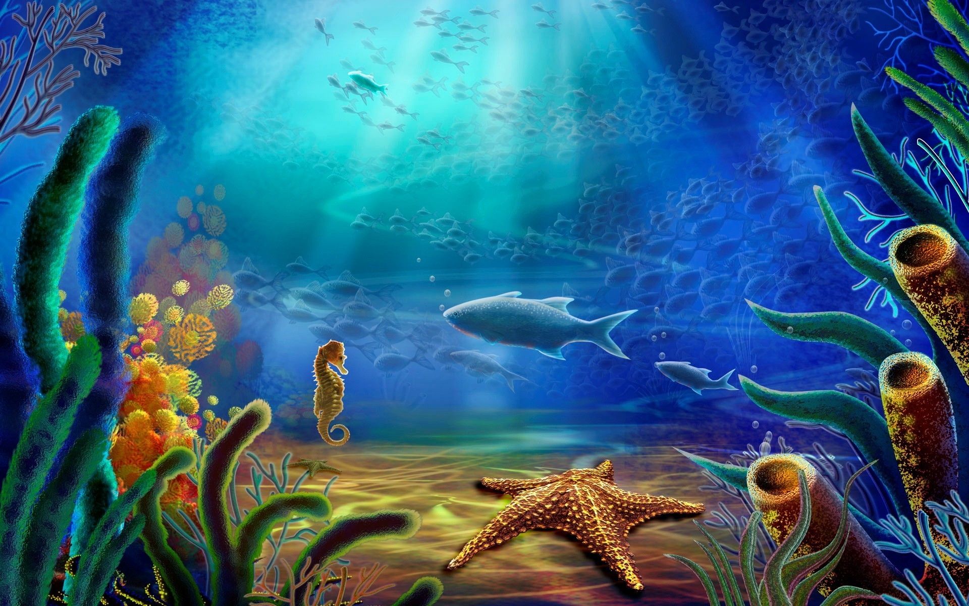 Underwater HD Wallpaper 