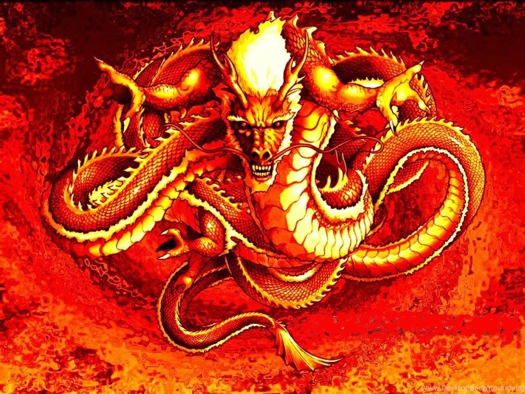 Chinese New Year Dragon Best Wallpaper 