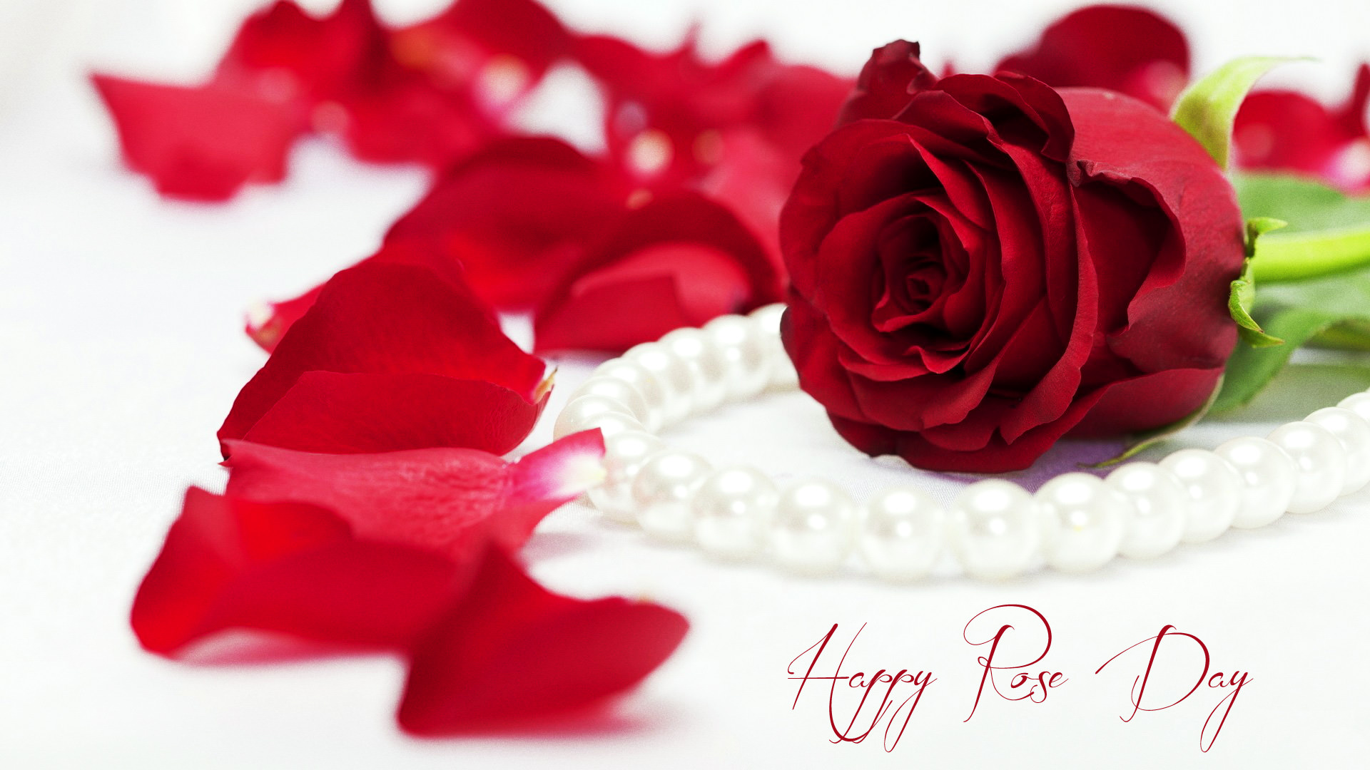 Rose Valentines Day HD Desktop Wallpaper 