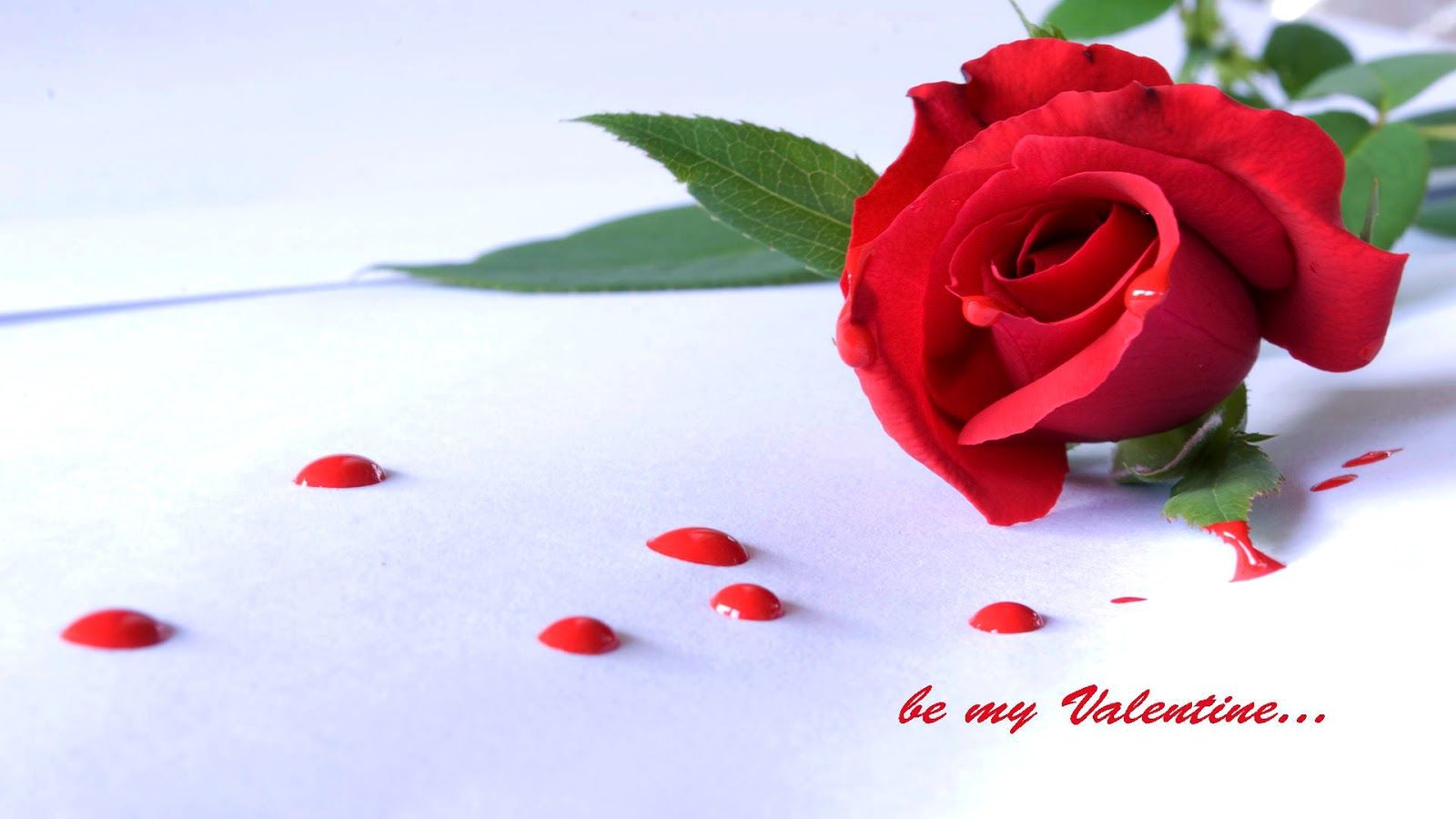 Rose Valentines Day Romantic Background Wallpapers 